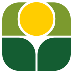 solo logo innocenti e mangoni senza scritte