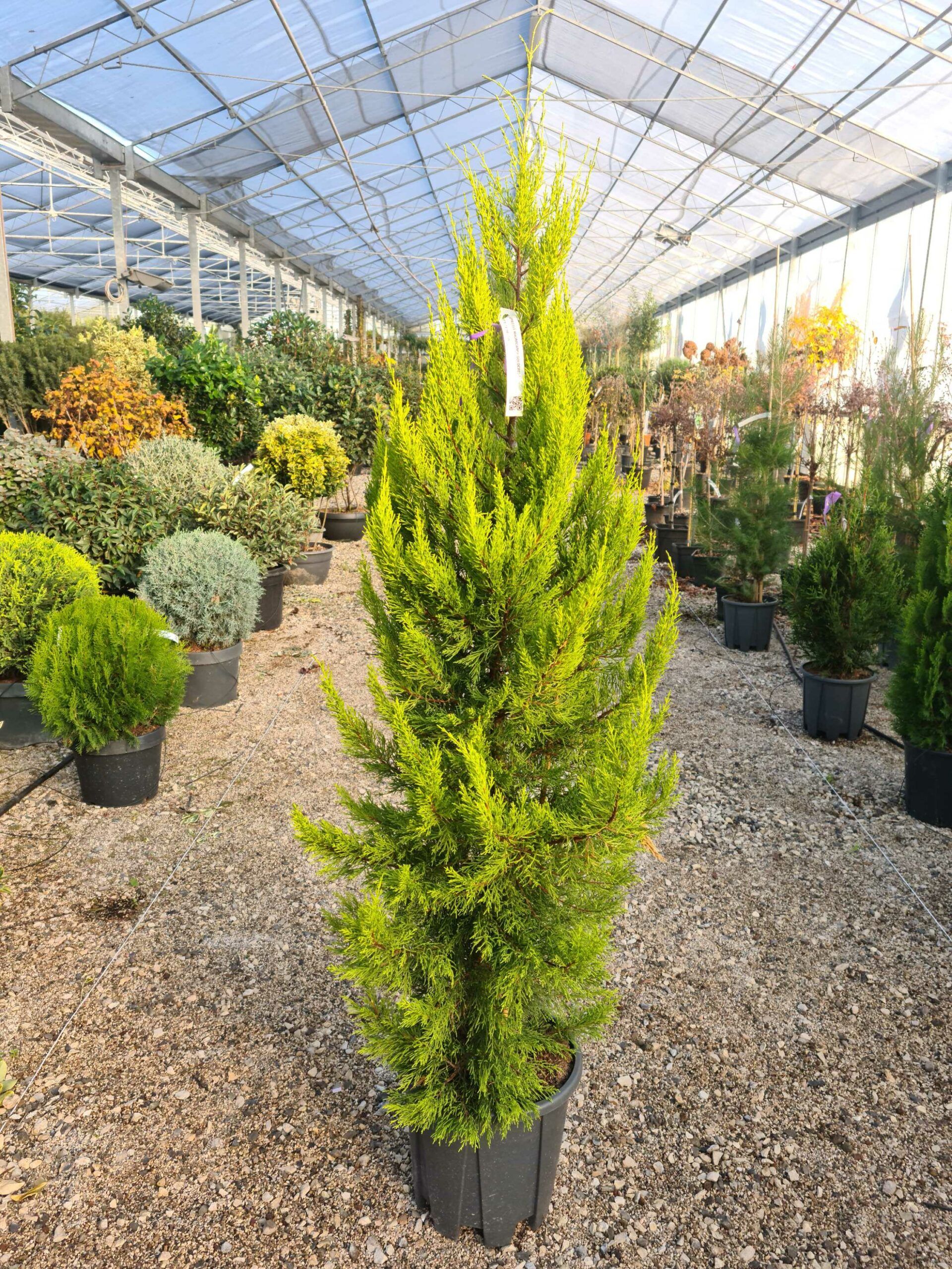 1639473339 scaled 693b1a1c