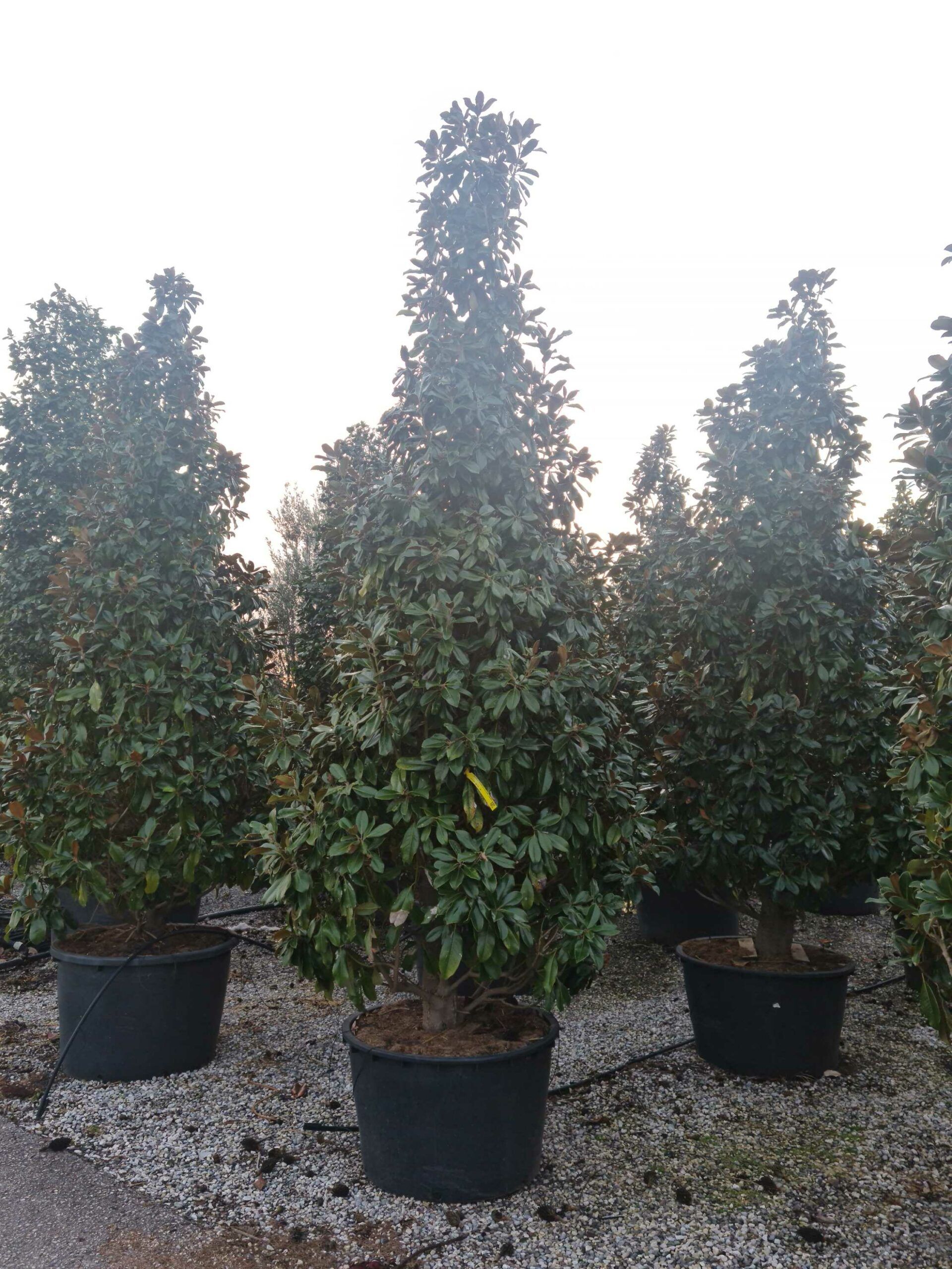 1639494358 scaled 69602d32