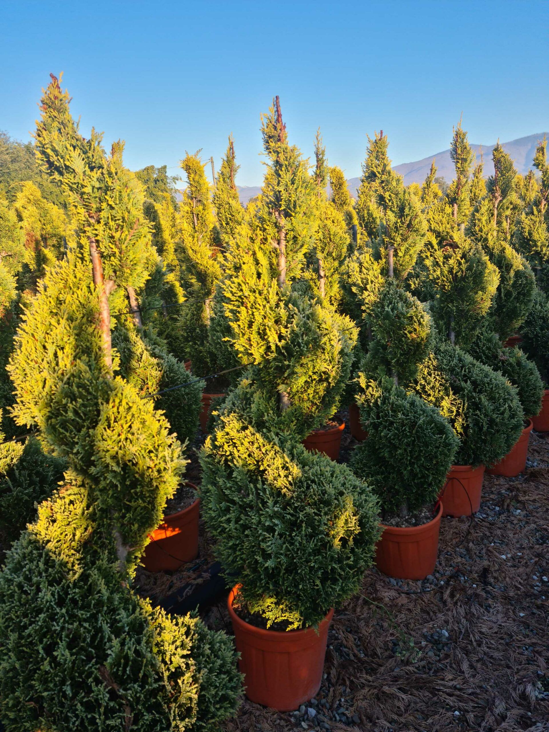 1639813999 scaled 69671b52