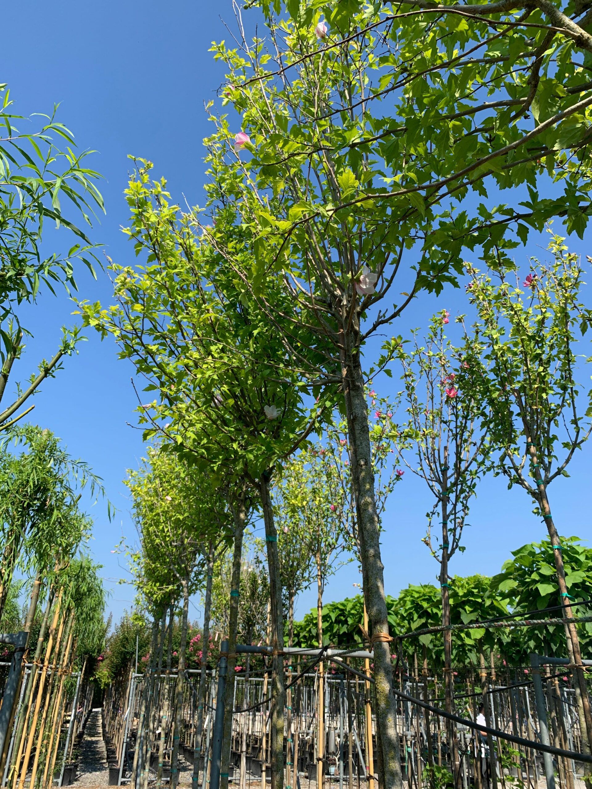 1658131305 scaled 69404d5c