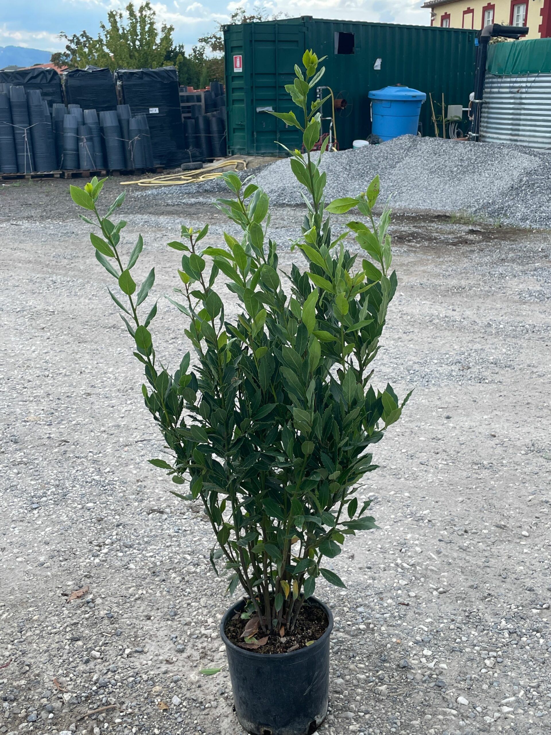 1661952445 scaled 69b4a036