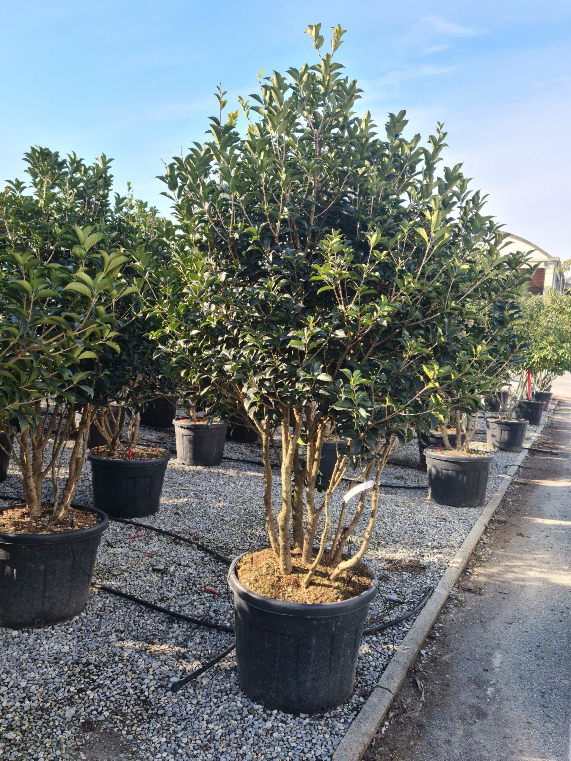 1675074319 scaled 69cdcb17