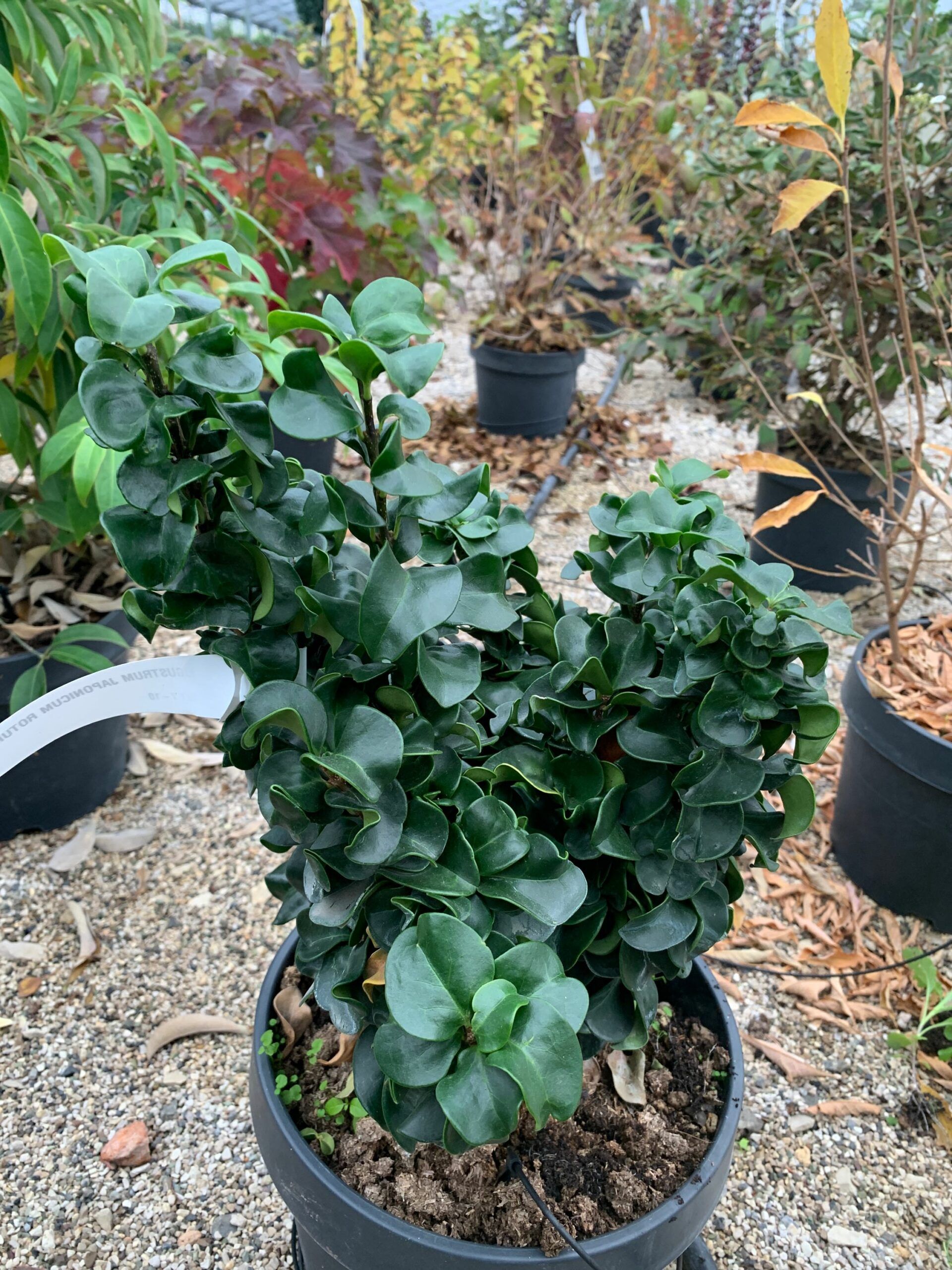 1636971127 scaled 6afbfca7