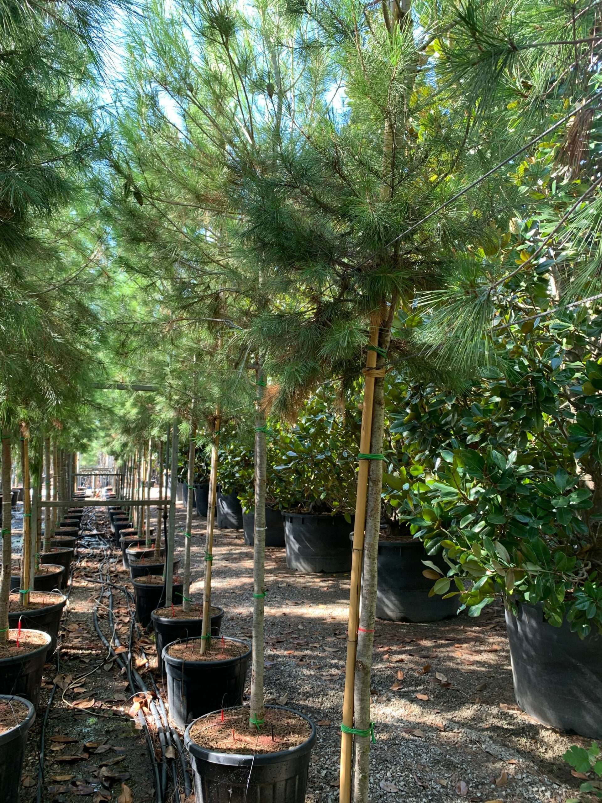 1662453204 scaled 6a239304