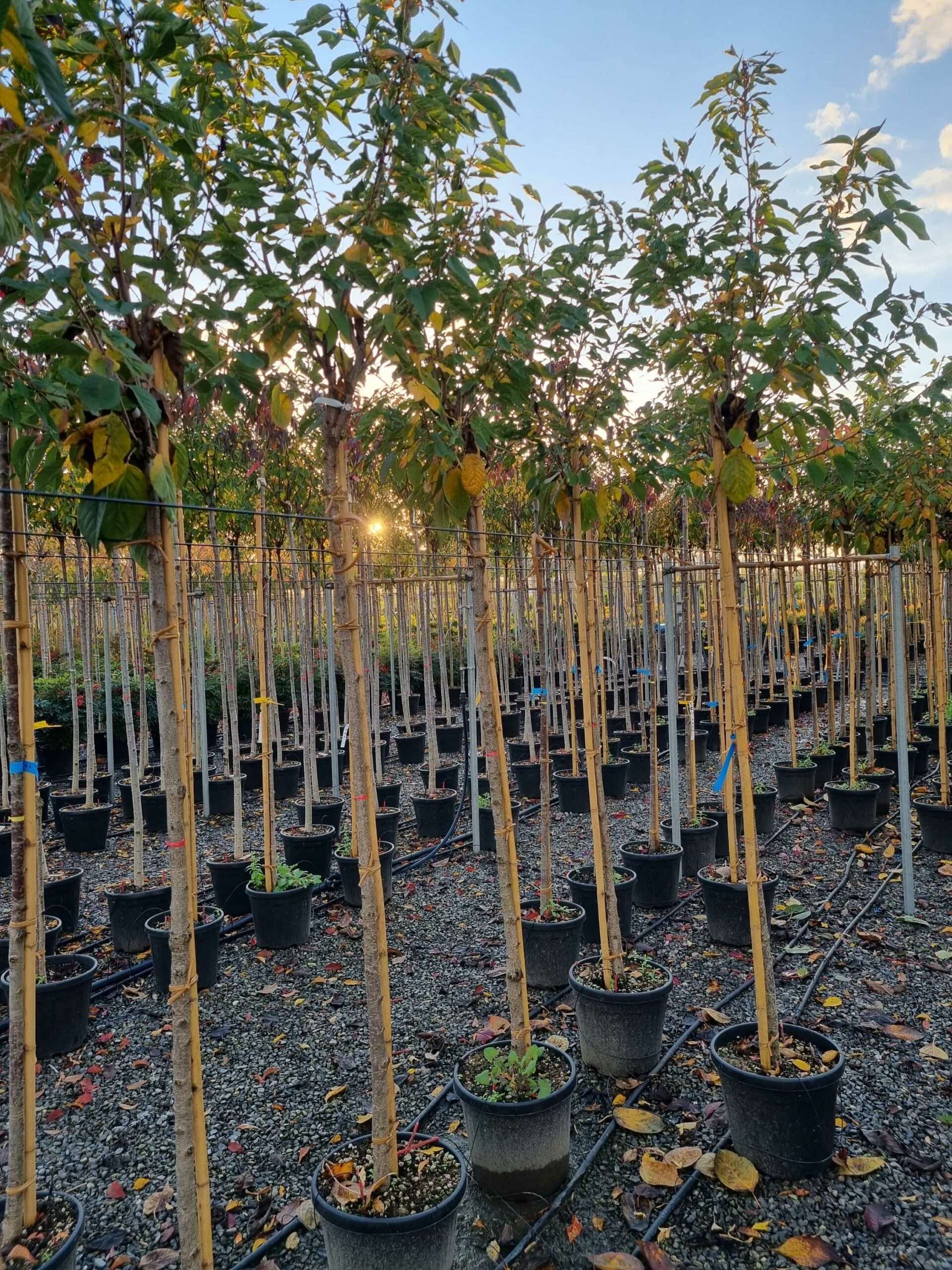 1668784542 scaled 6a35281d