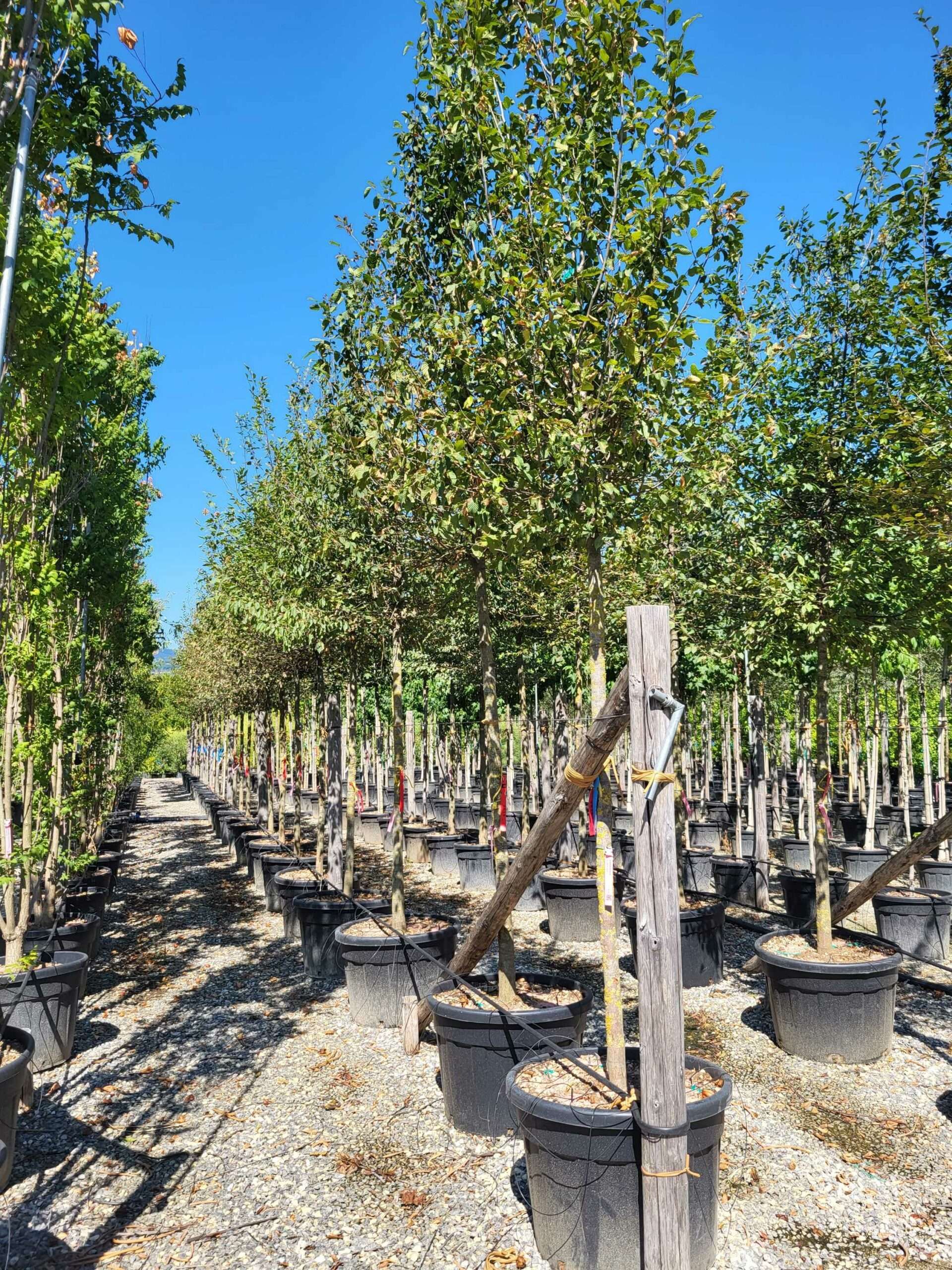 1692796682 scaled 6a1d14bc