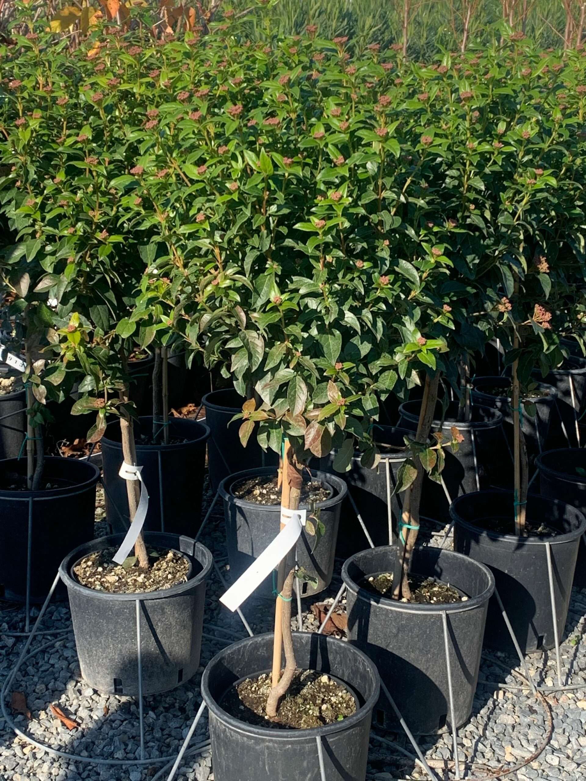 1637318950 scaled 6b7bc0e4