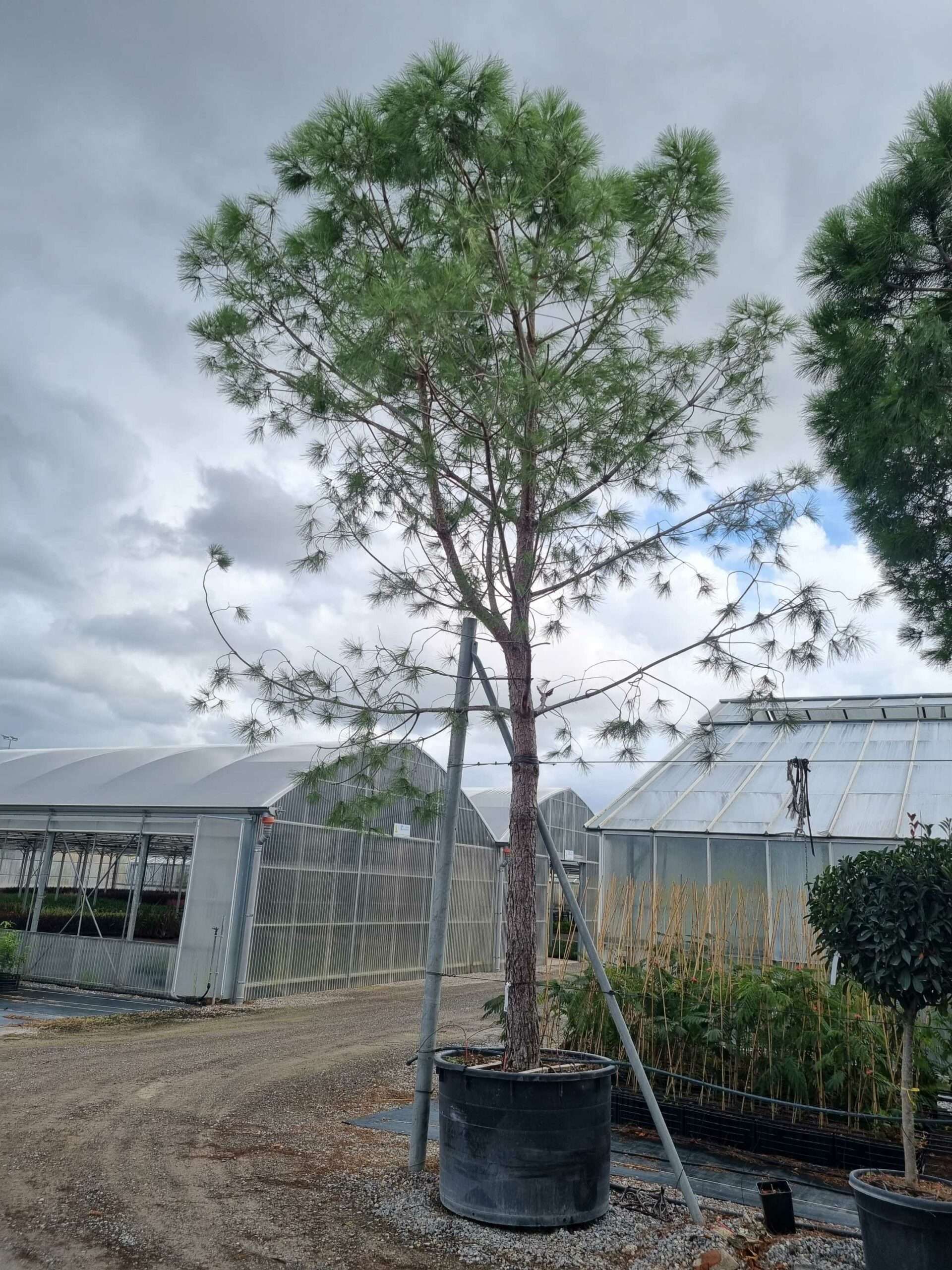 1664445423 scaled 6b4f2dc7