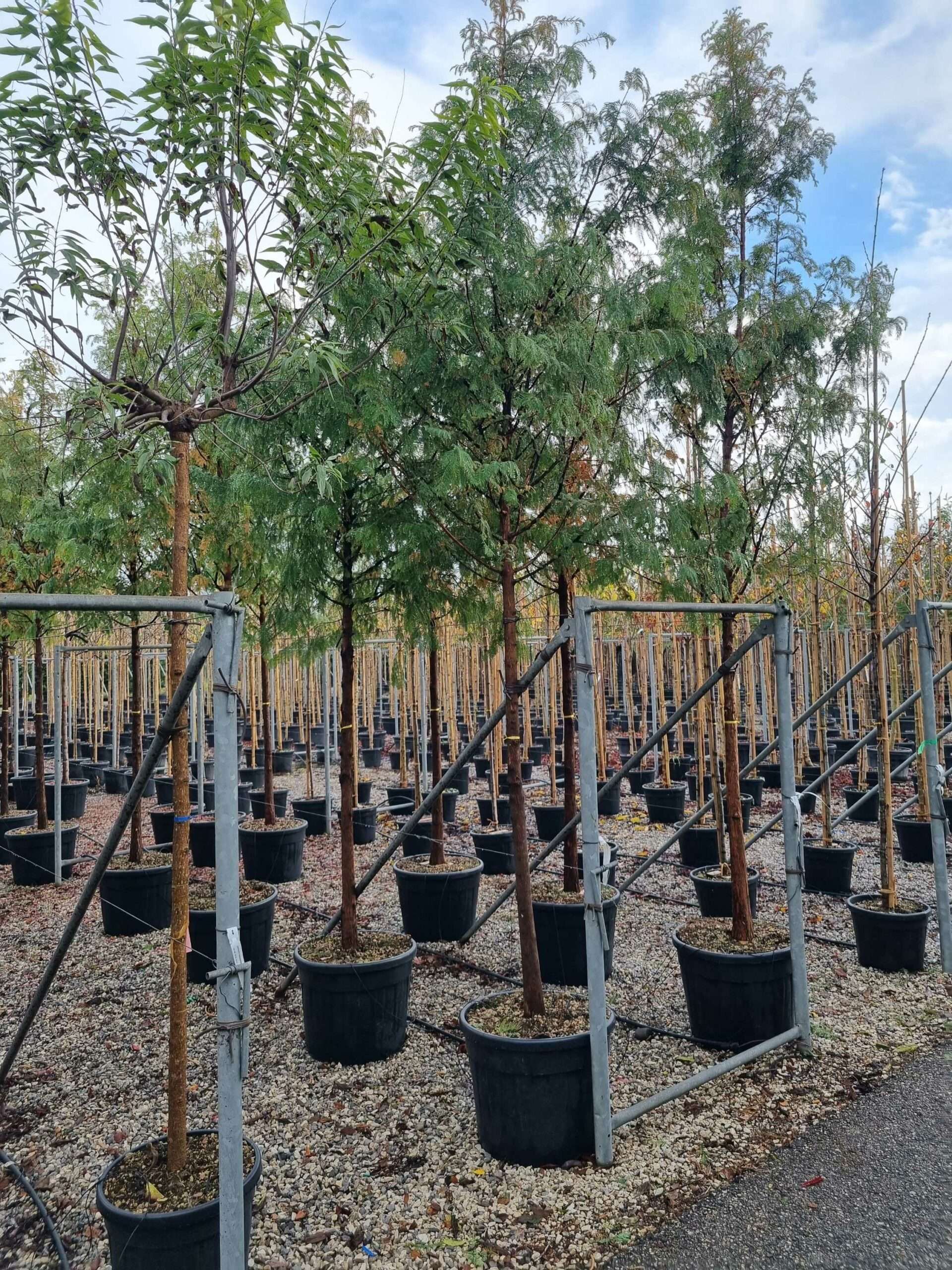 1668604881 scaled 6bd2f683