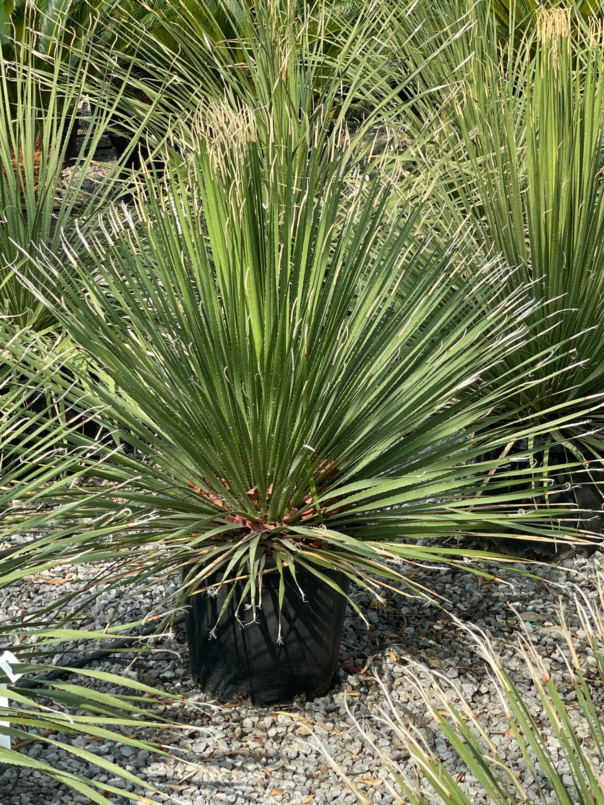 1691075831 scaled 6bd9486e