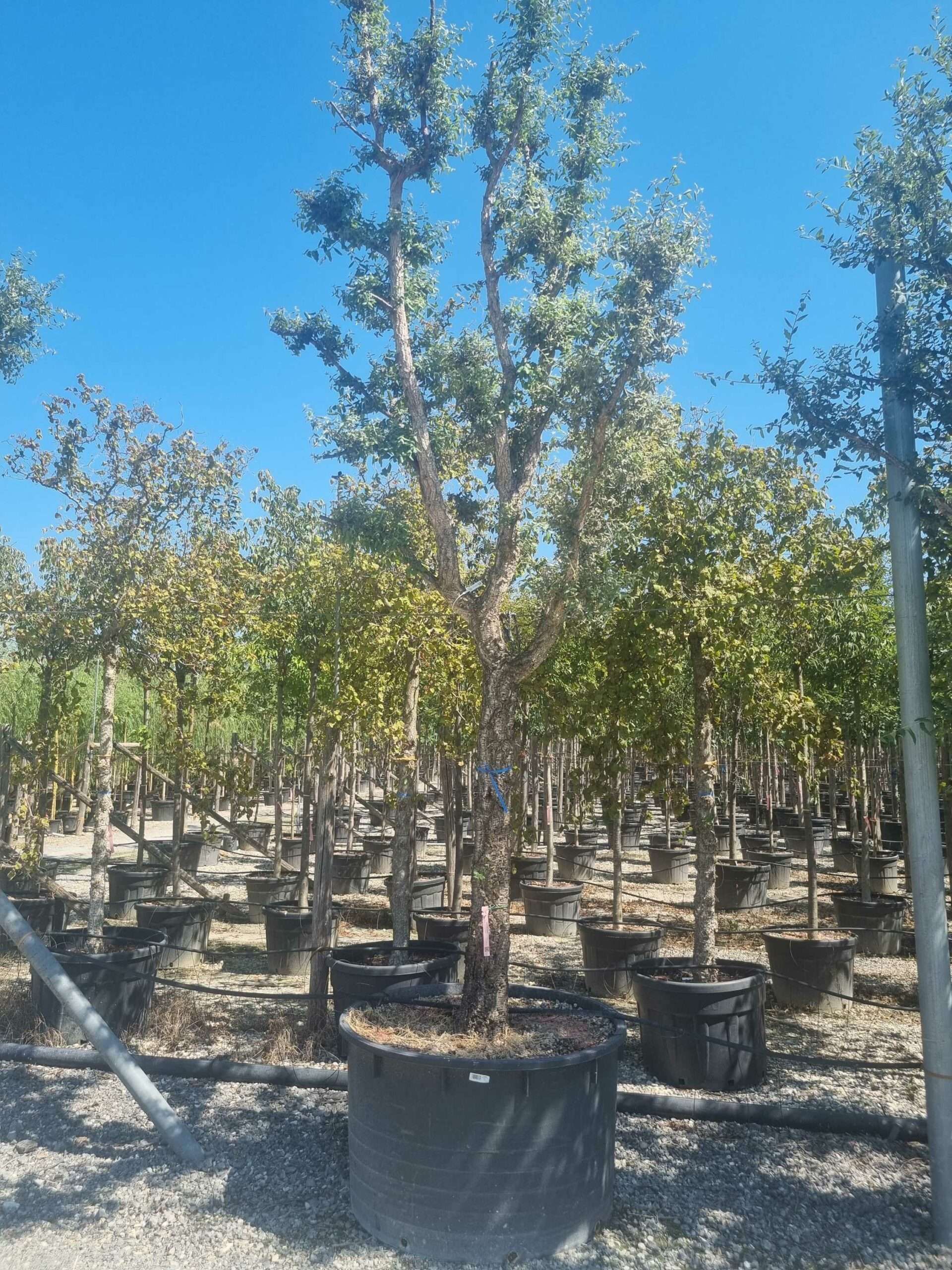 1692794842 scaled 6b0dec91