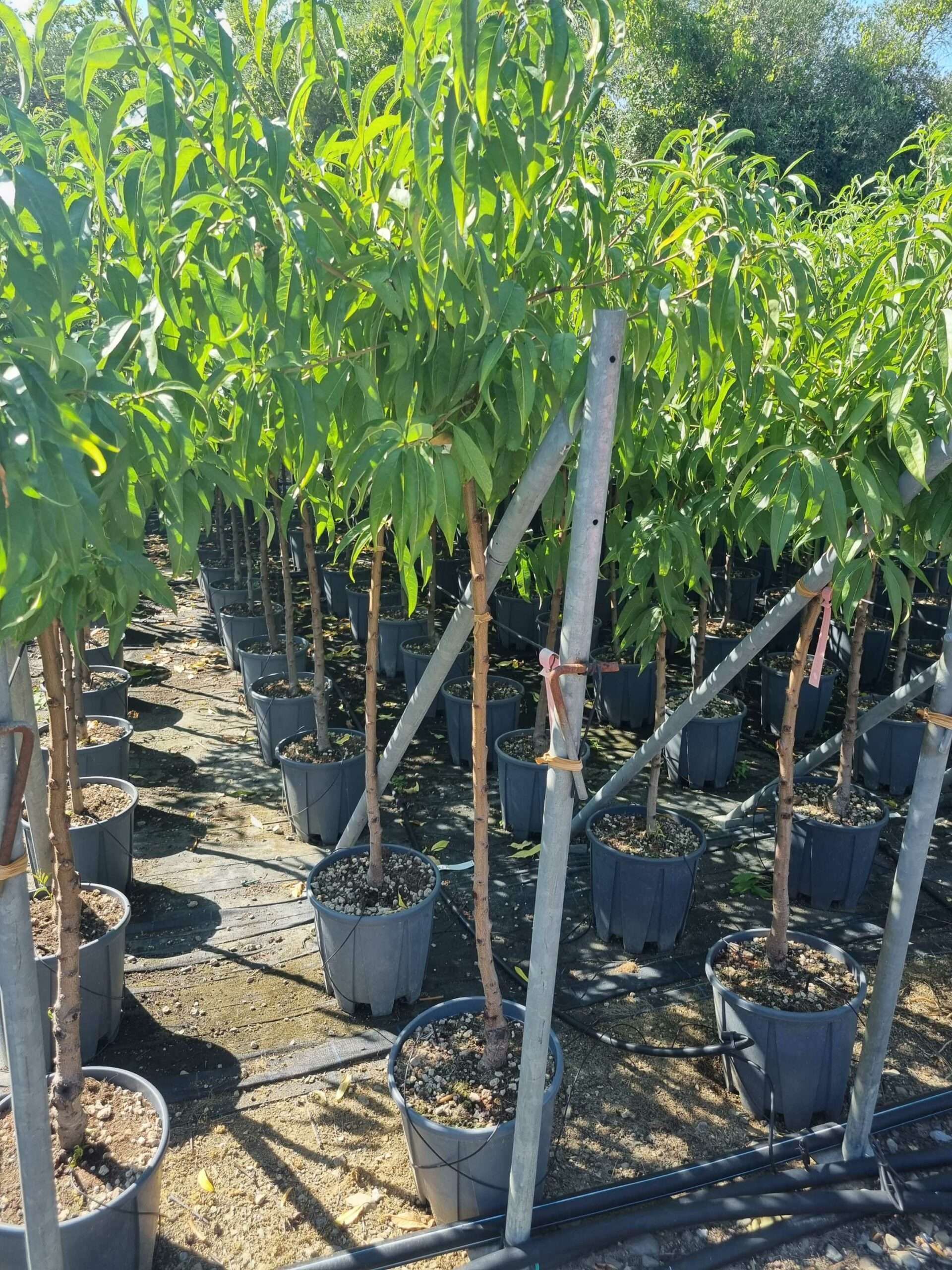 1694438445 scaled 6b8acbc4