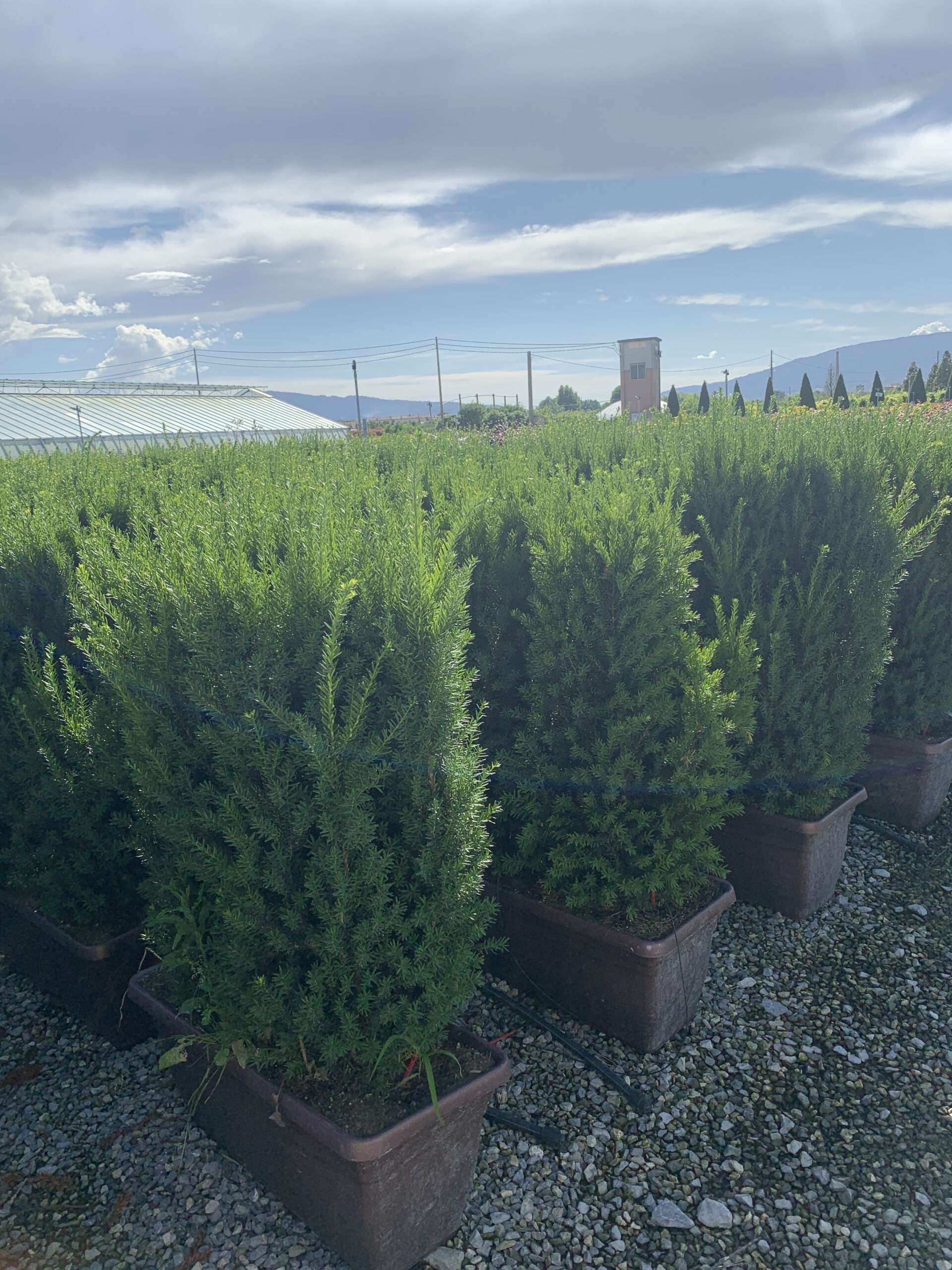 1619074342 scaled 6cb036c0