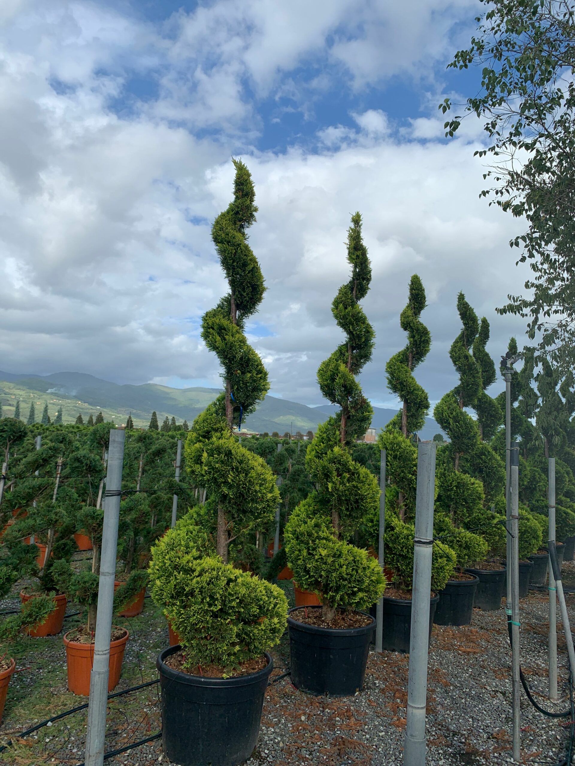 1633442186 scaled 6c8b05a5