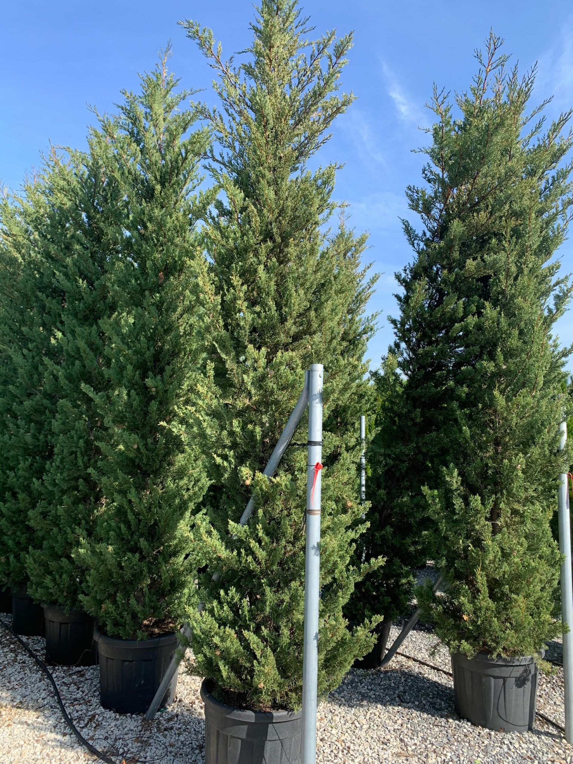 1635503326 scaled 6cd3aa85