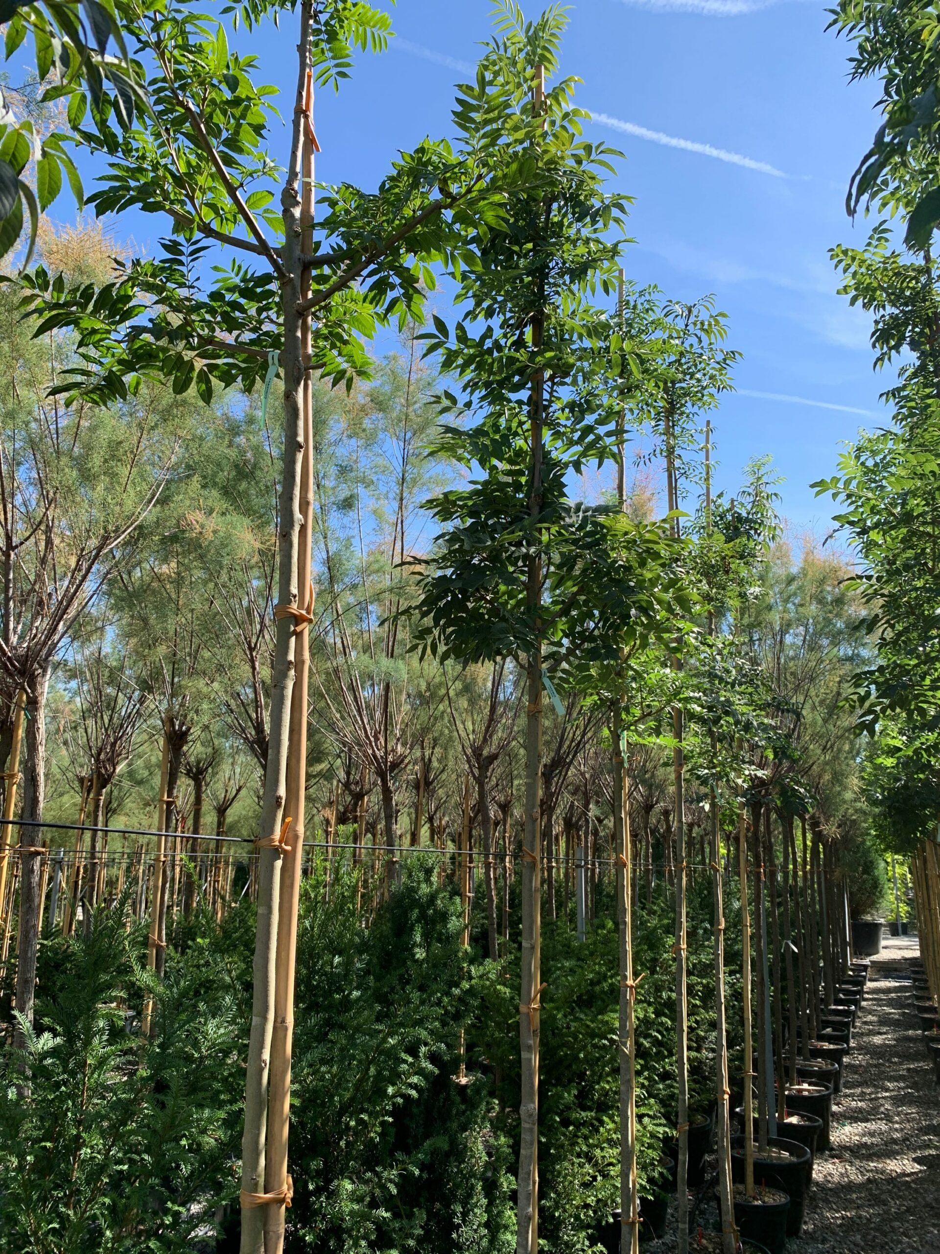 1662455179 scaled 6cf6578a