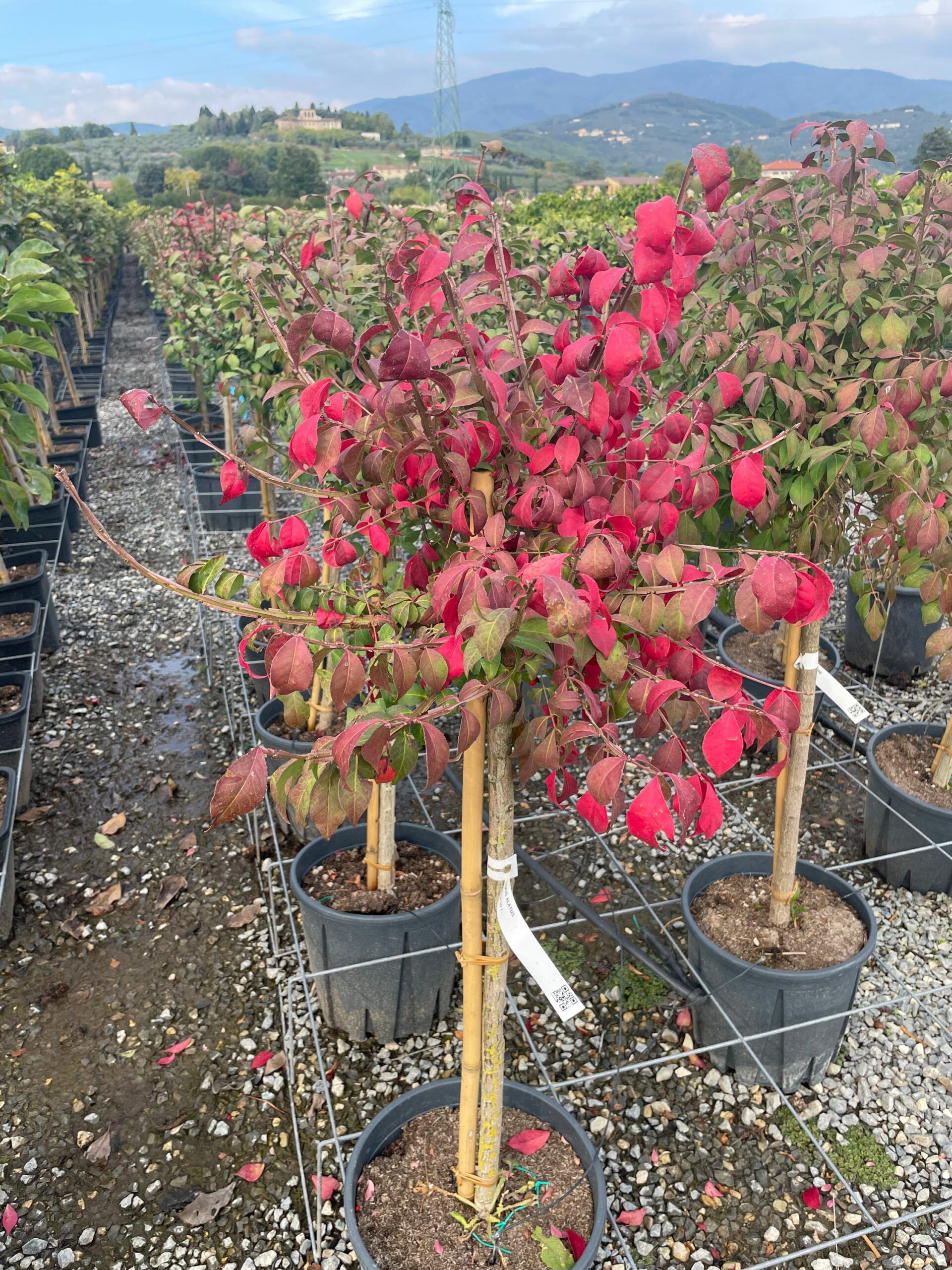 1665493973 scaled 6cb82345