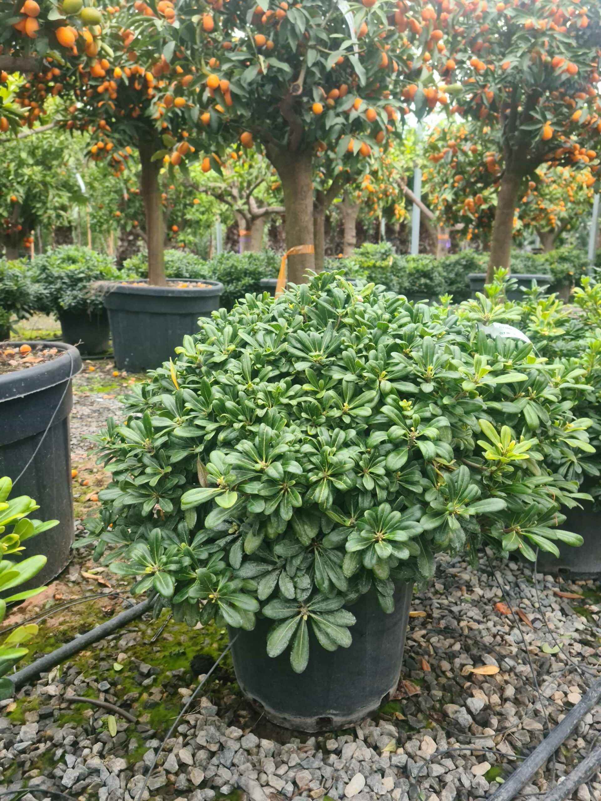 1676990738 scaled 6c7ae26f