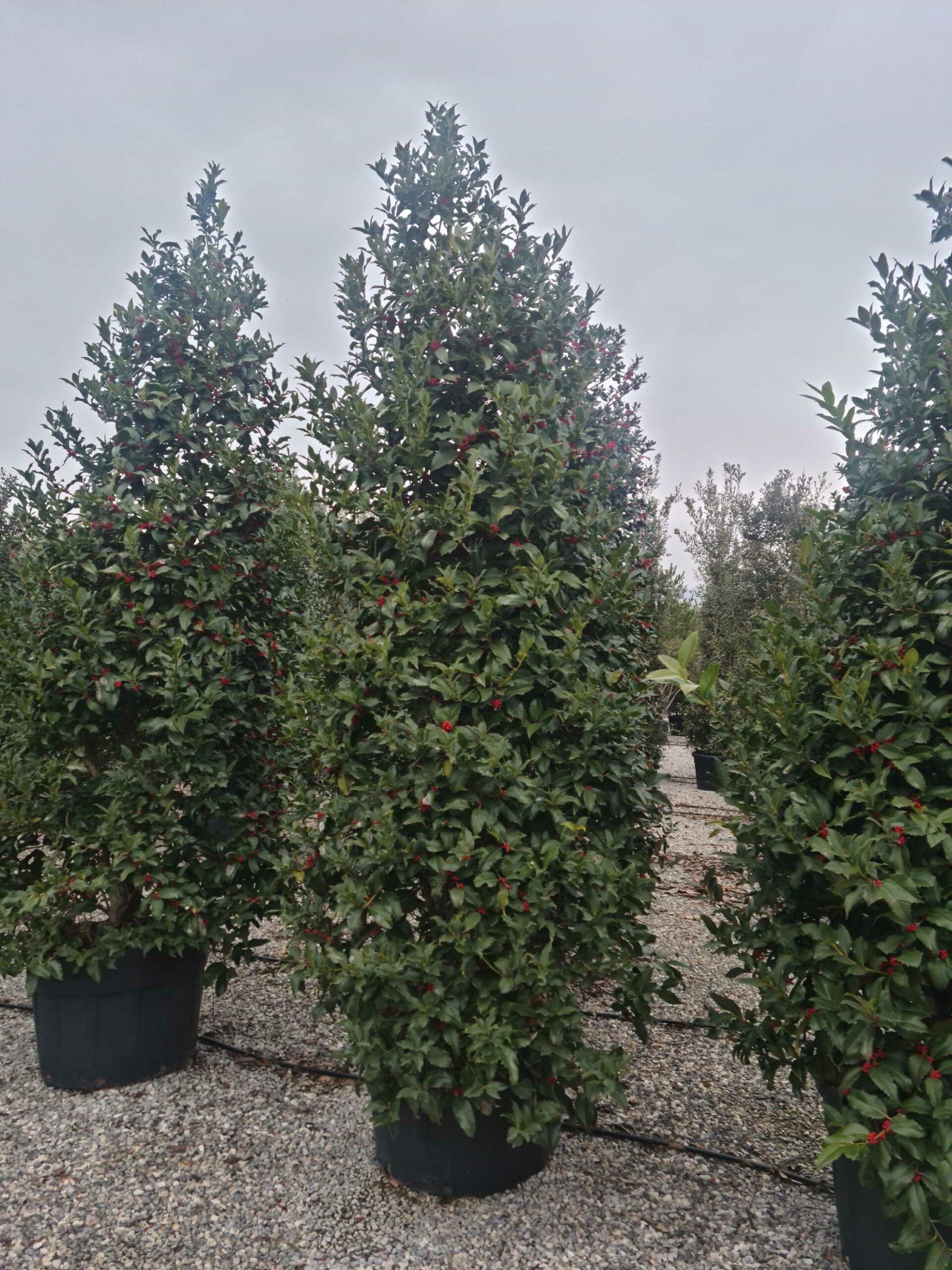 1676992782 scaled 6c3db613