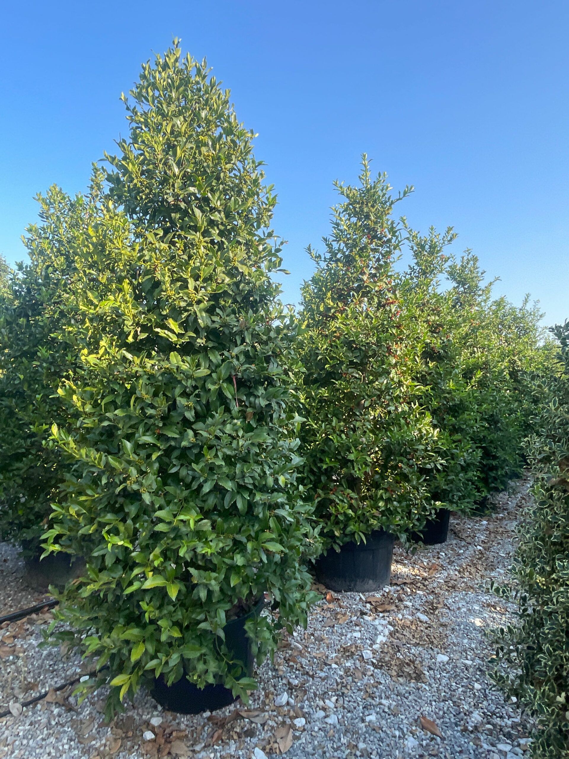 1692945237 scaled 6cb7a6ac