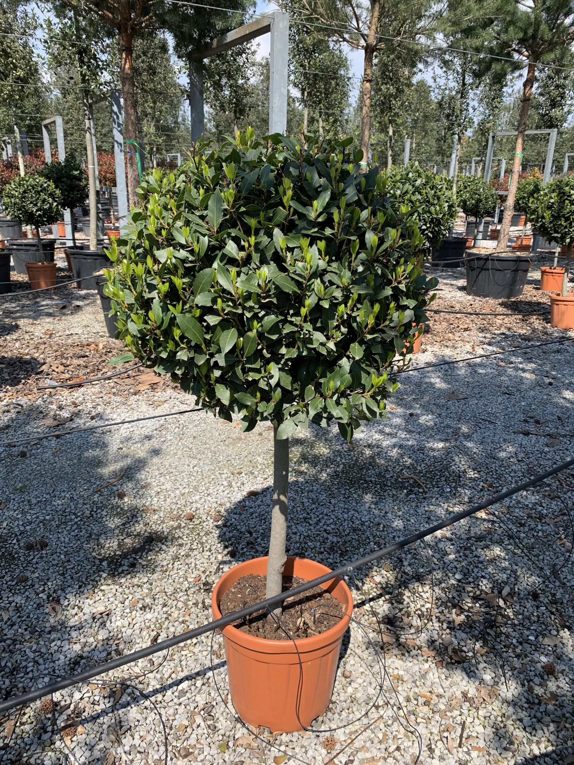 1619075285 scaled 6d0b03be