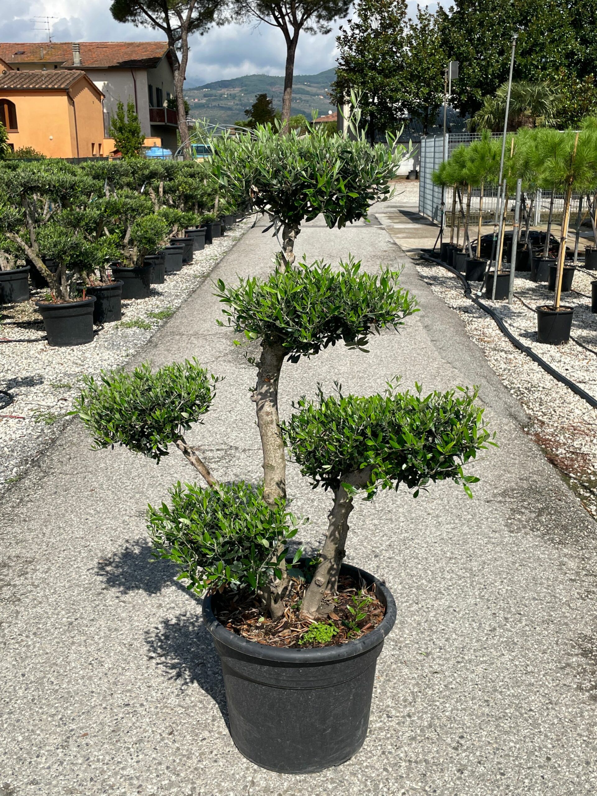 1631962114 scaled 6dbefe6d