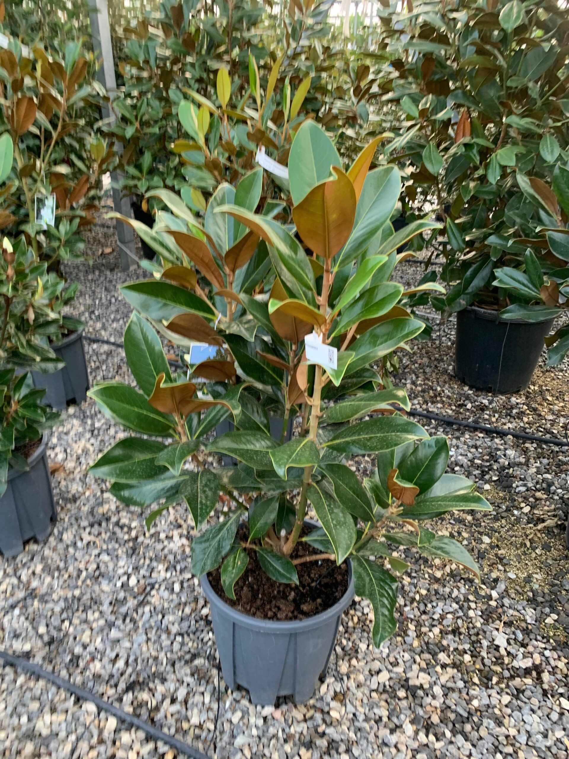 1633447825 scaled 6d0c59d1