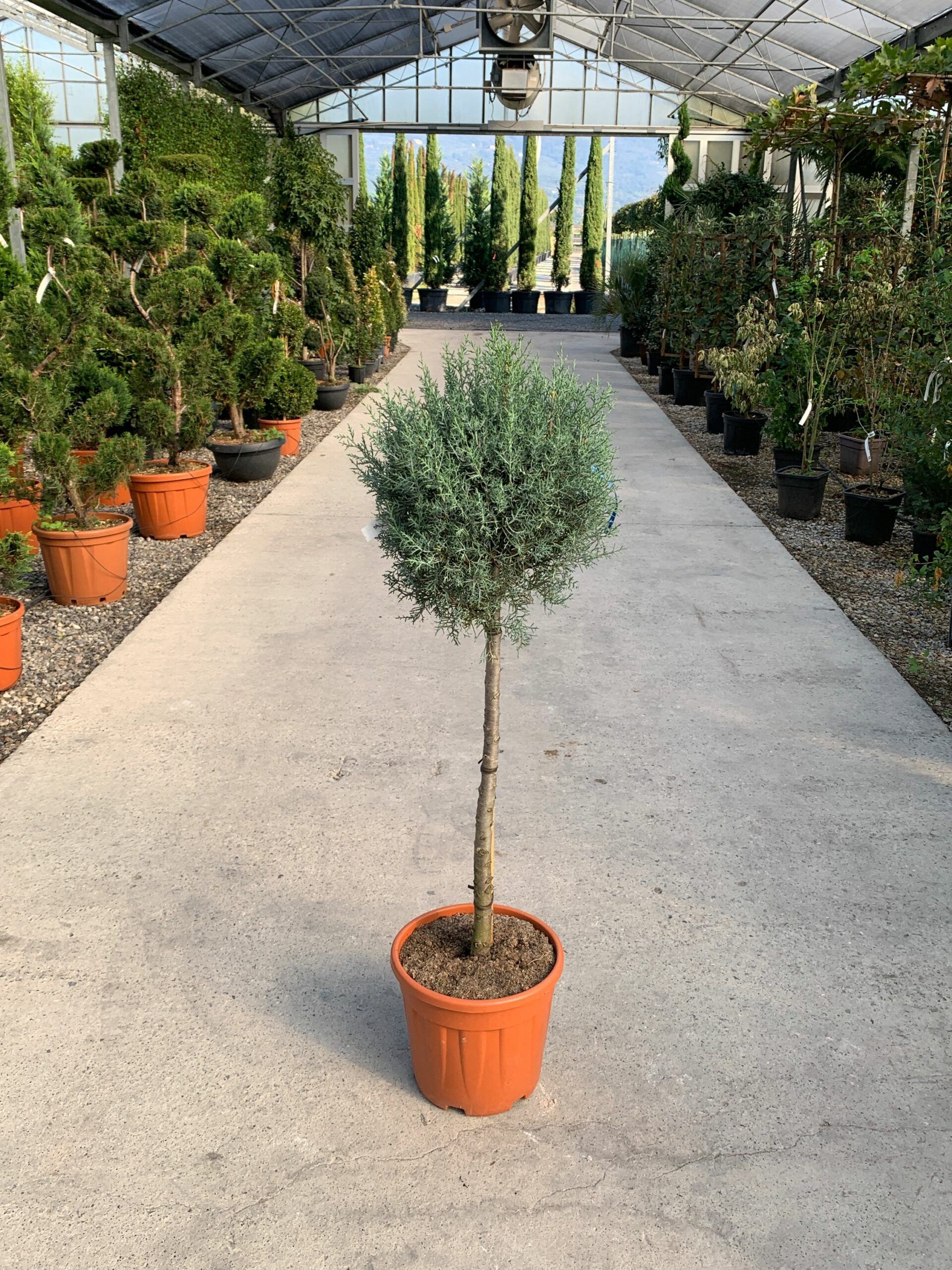 1634977001 scaled 6dbe8fa8