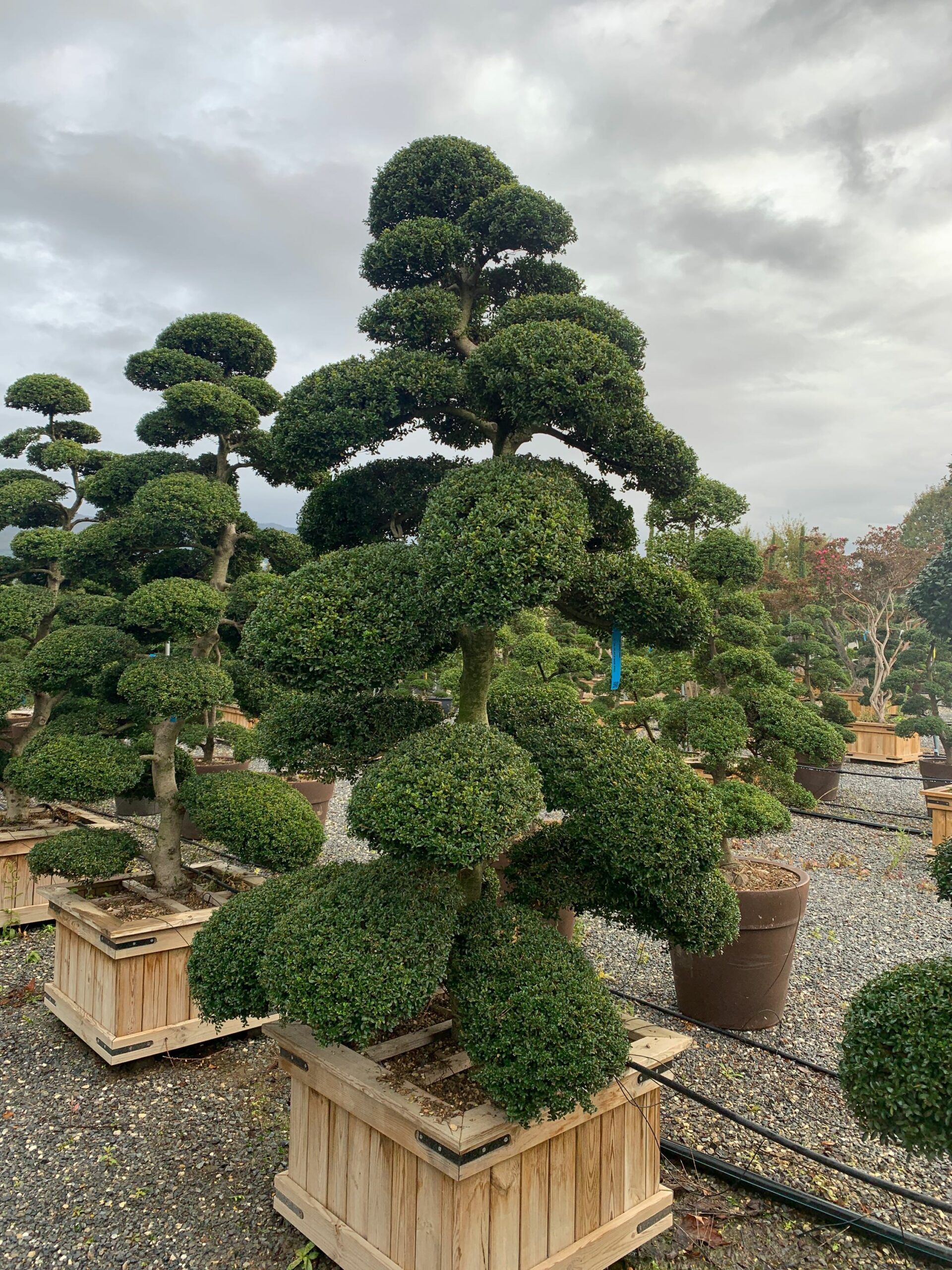 1635924833 scaled 6d28a174