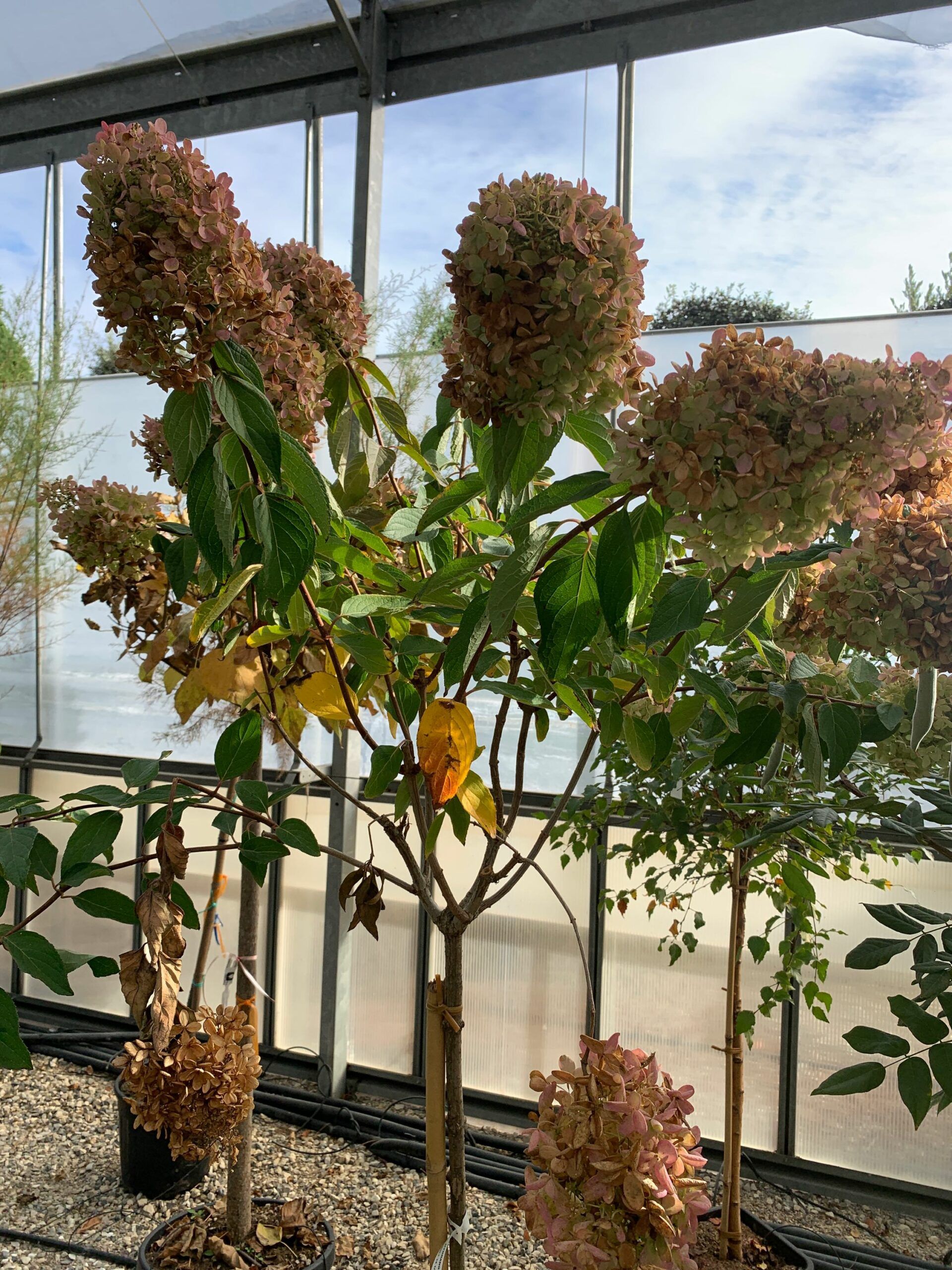 1636362782 scaled 6dd4be48