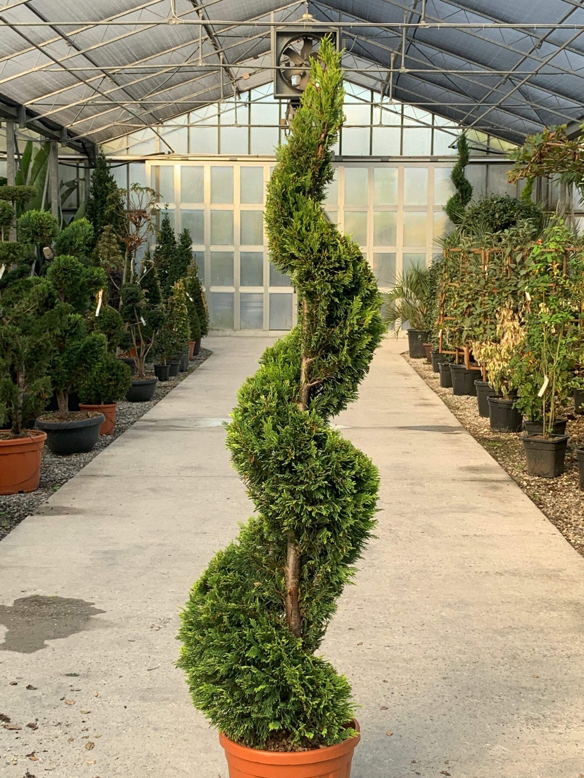 1637243232 scaled 6d1d2a13