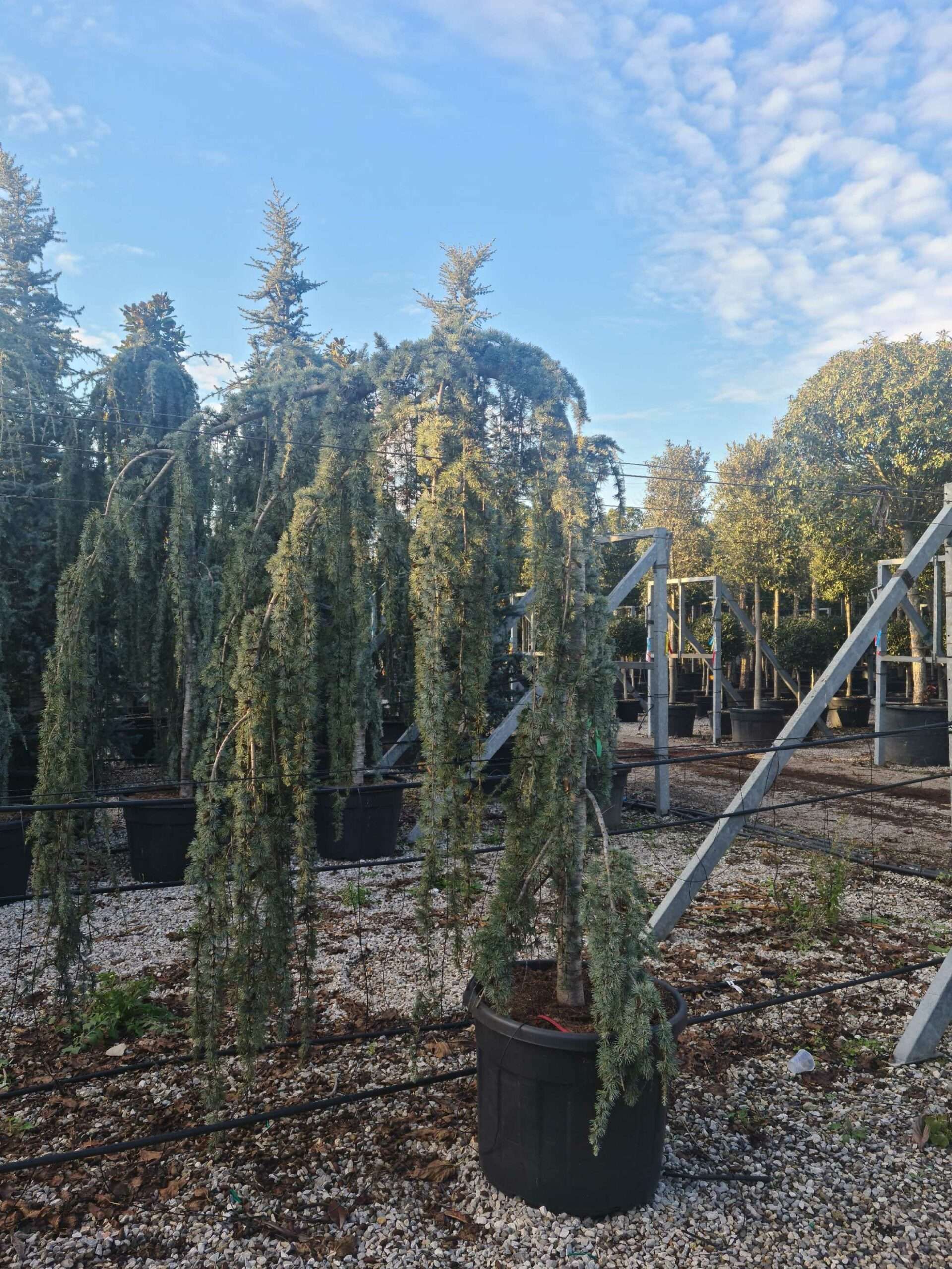 1639405813 scaled 6d9cb8f8