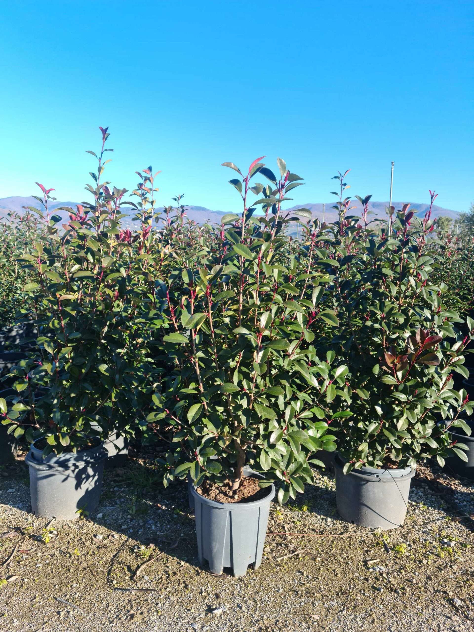 1639731986 scaled 6d4ba8ca