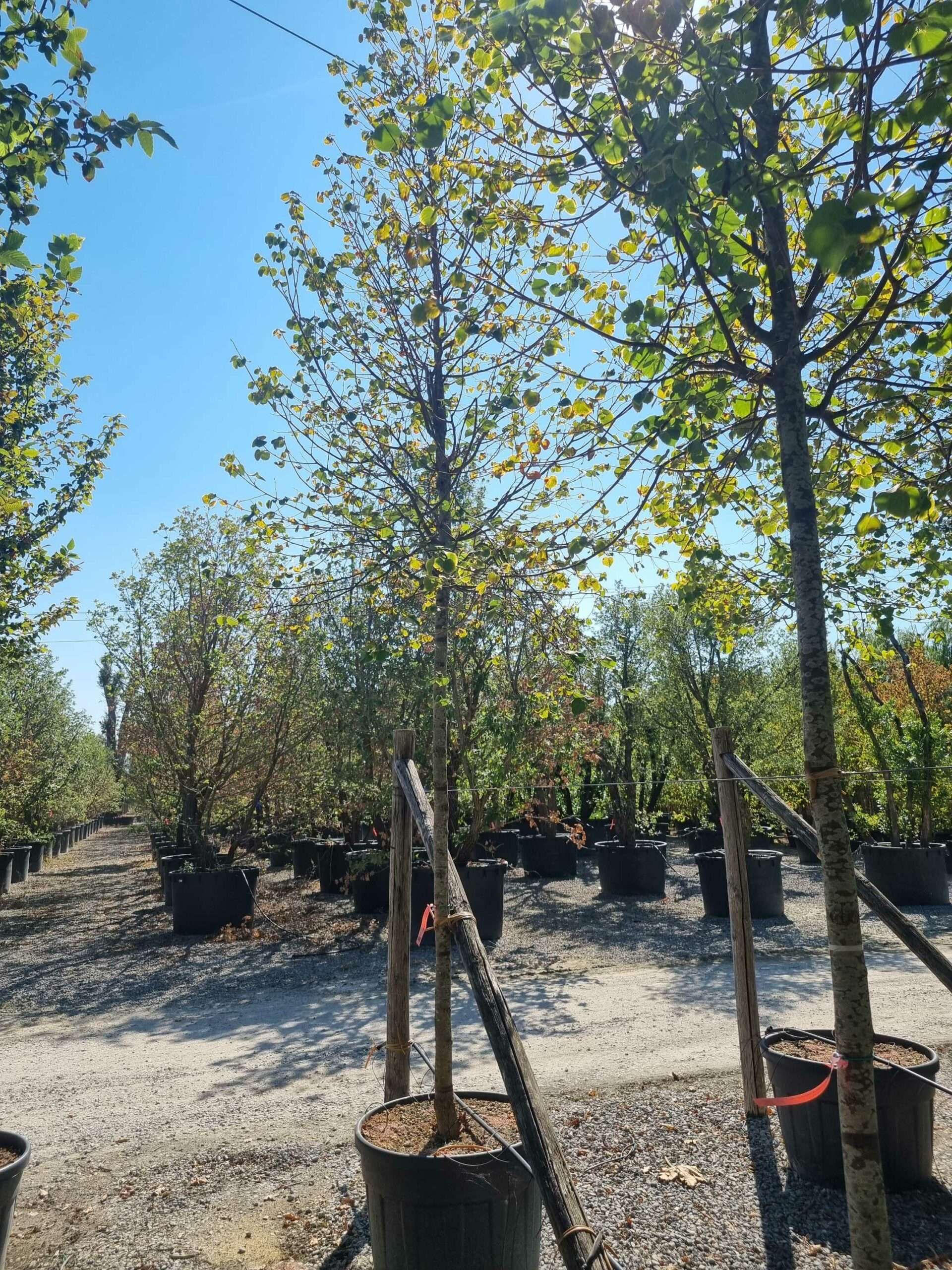 1692712451 scaled 6de18961