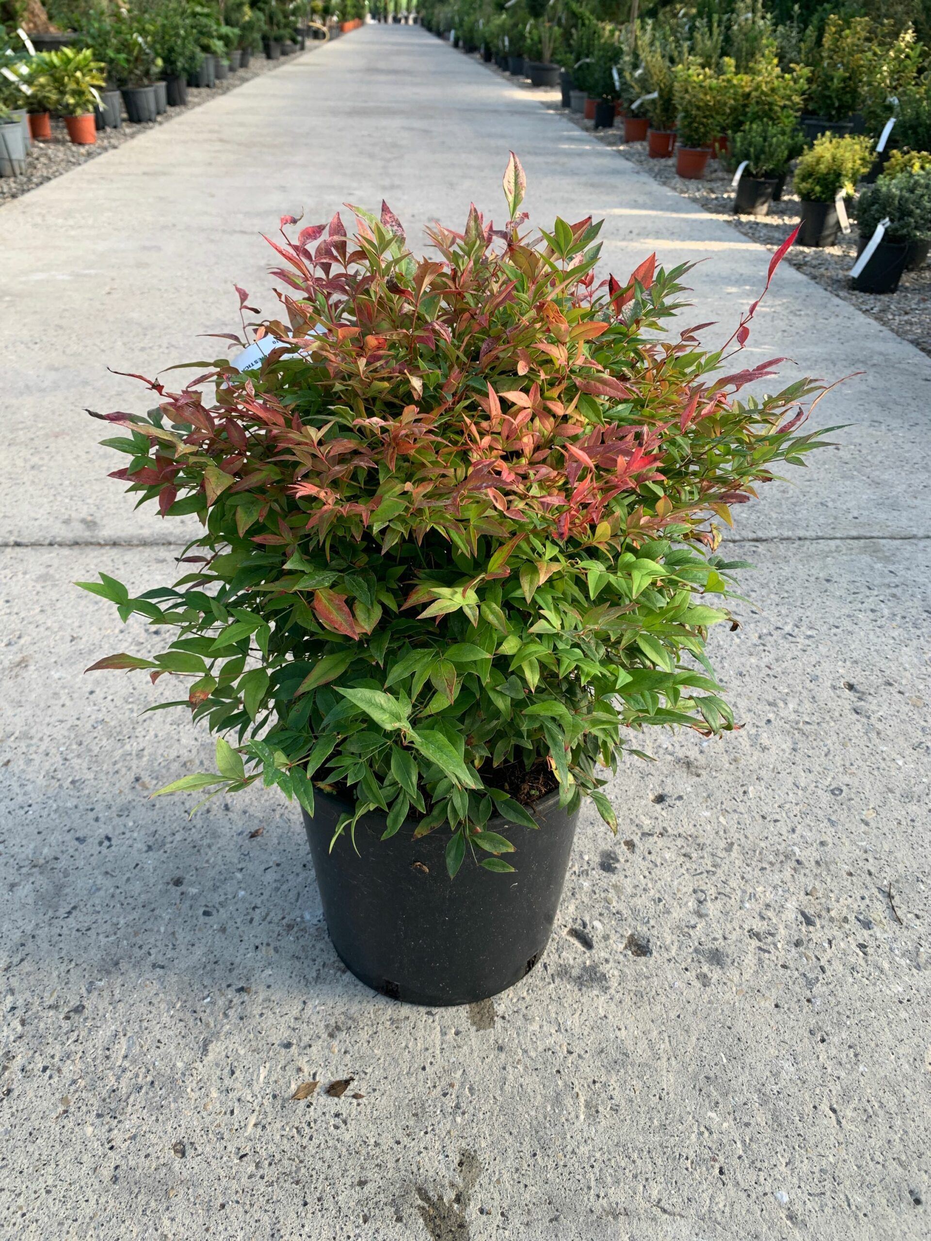 1632811873 scaled 6e653788