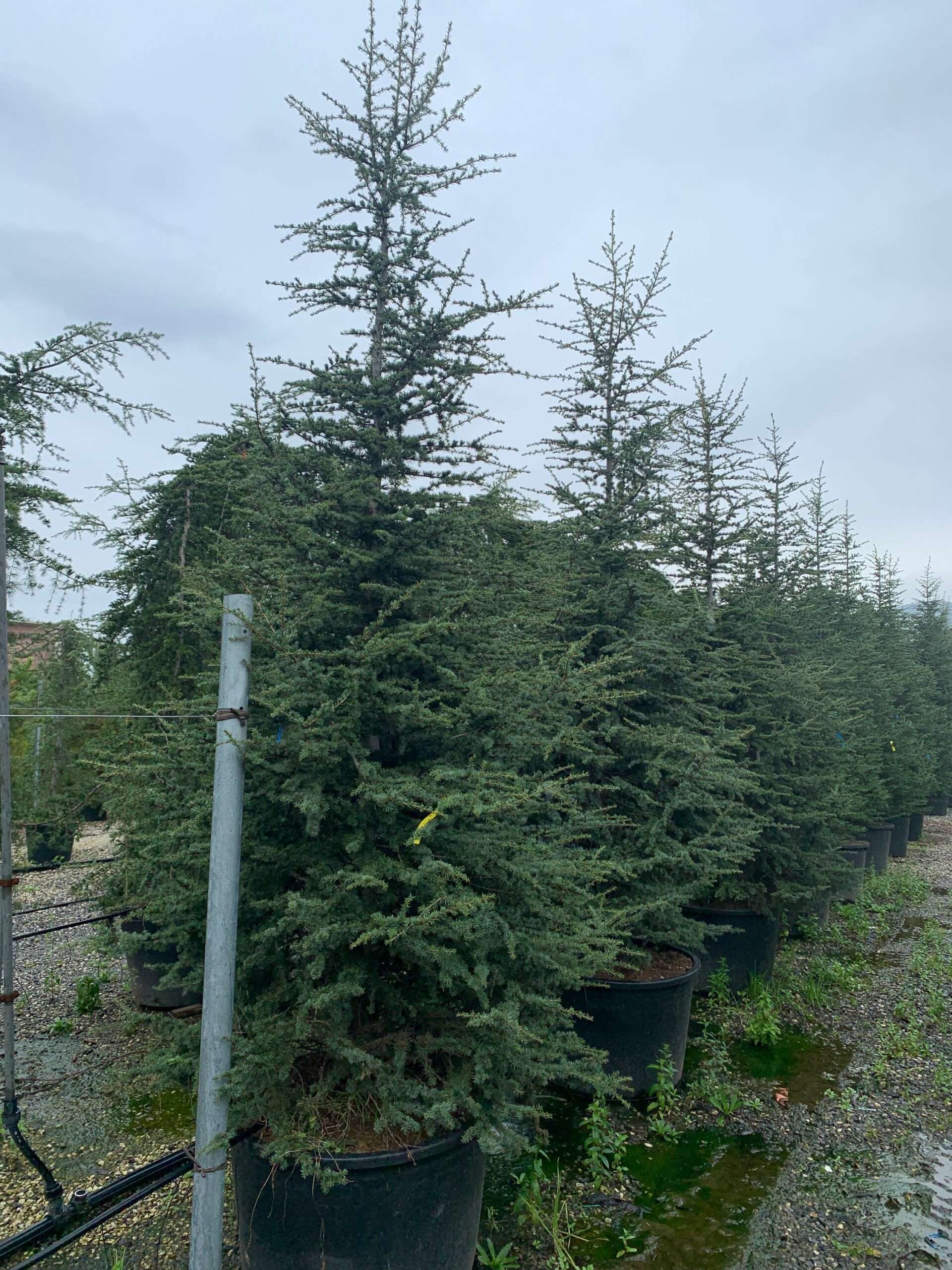 1637058595 scaled 6e9d58a2