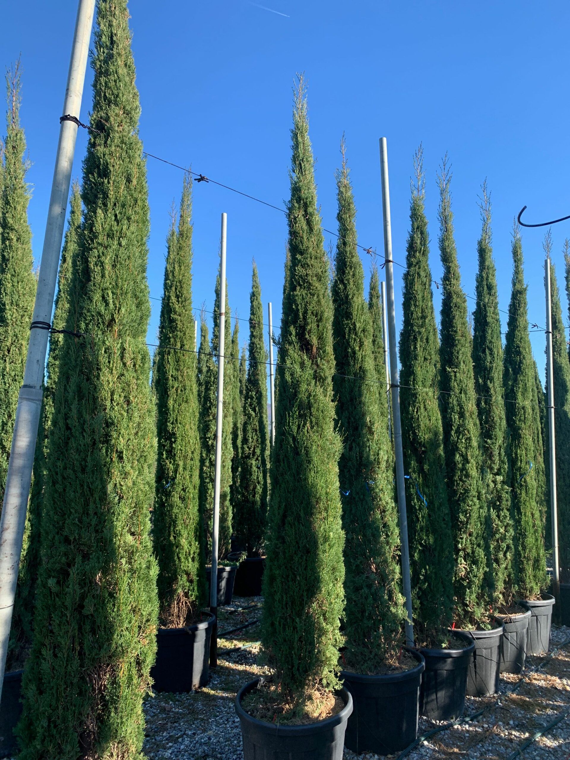 1637748353 scaled 6e1458b1