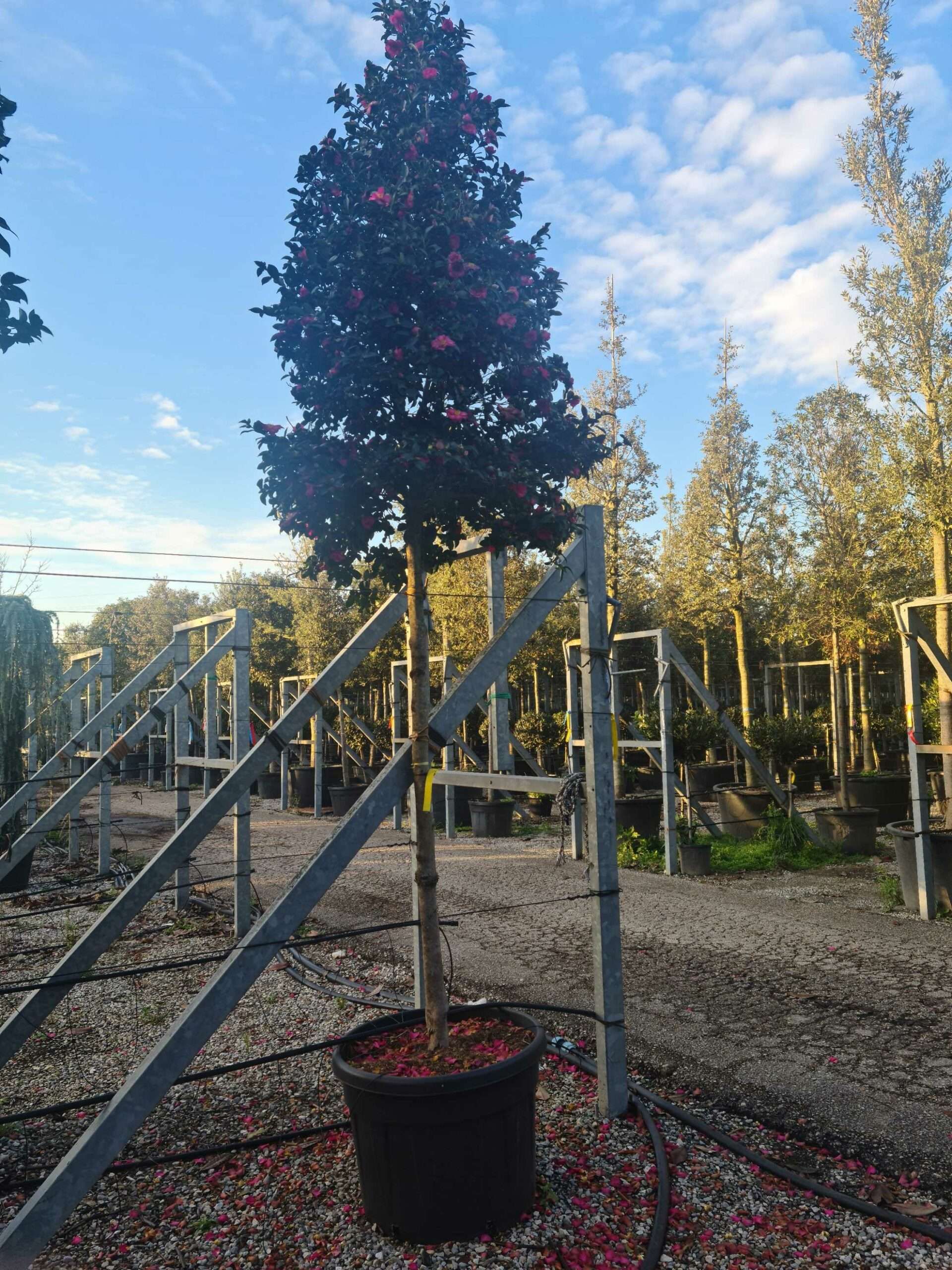 1639406345 scaled 6ed976ca