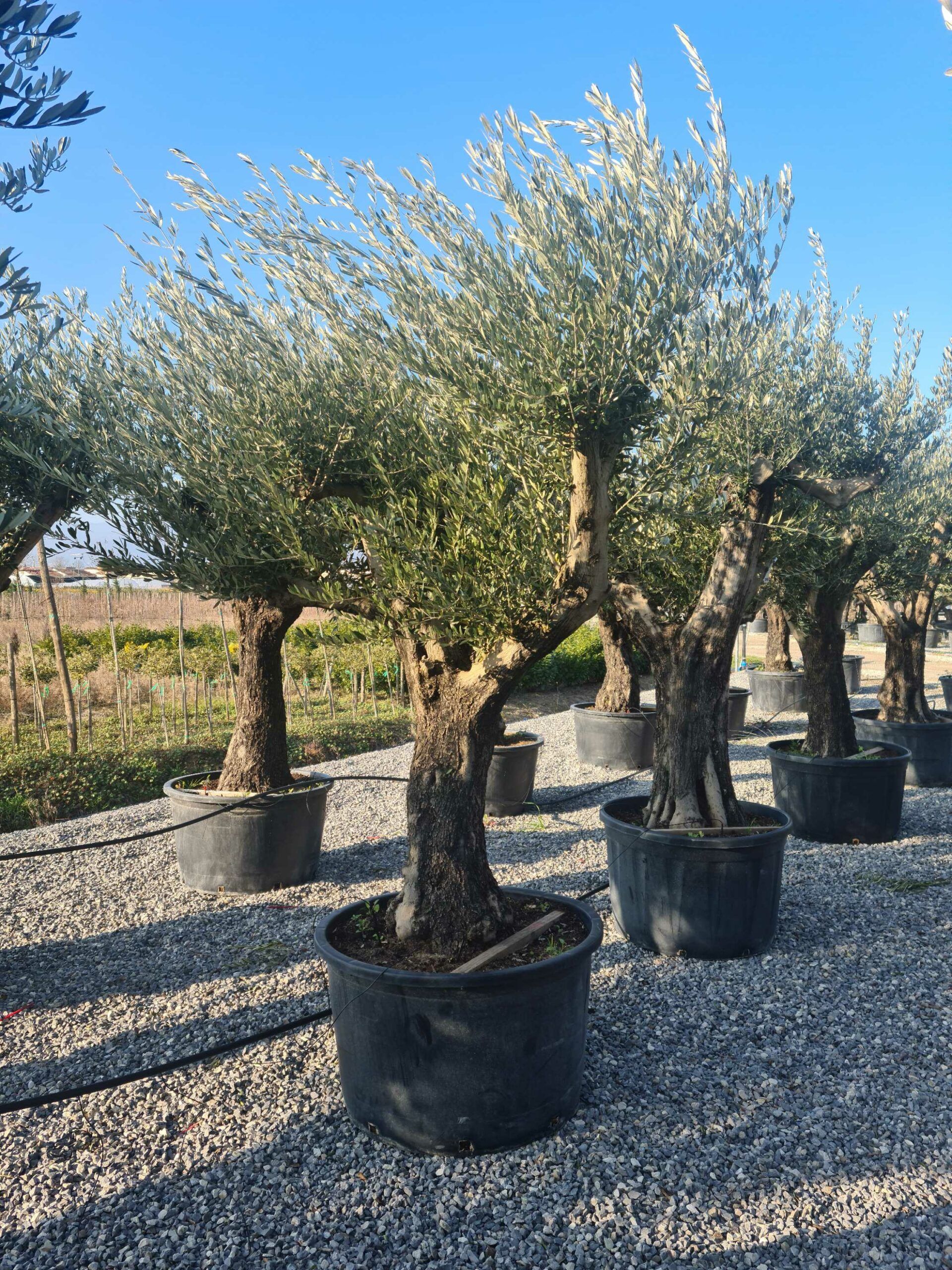 1642773251 scaled 6e8b58dc