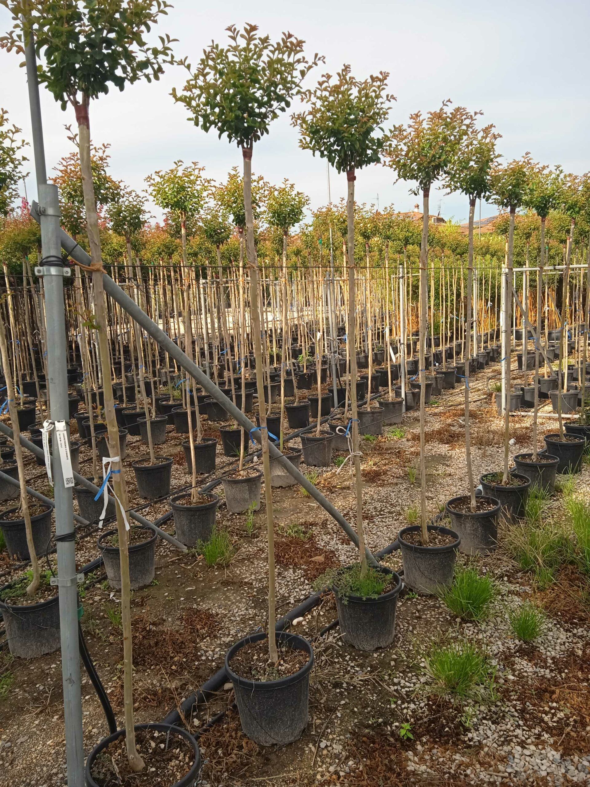 1662015061 scaled 6e5e0e37