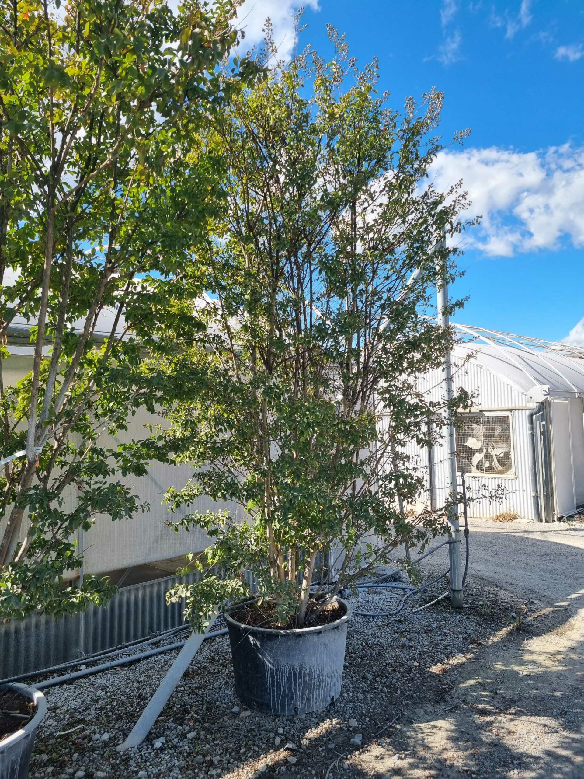 1663766487 scaled 6e100c3a