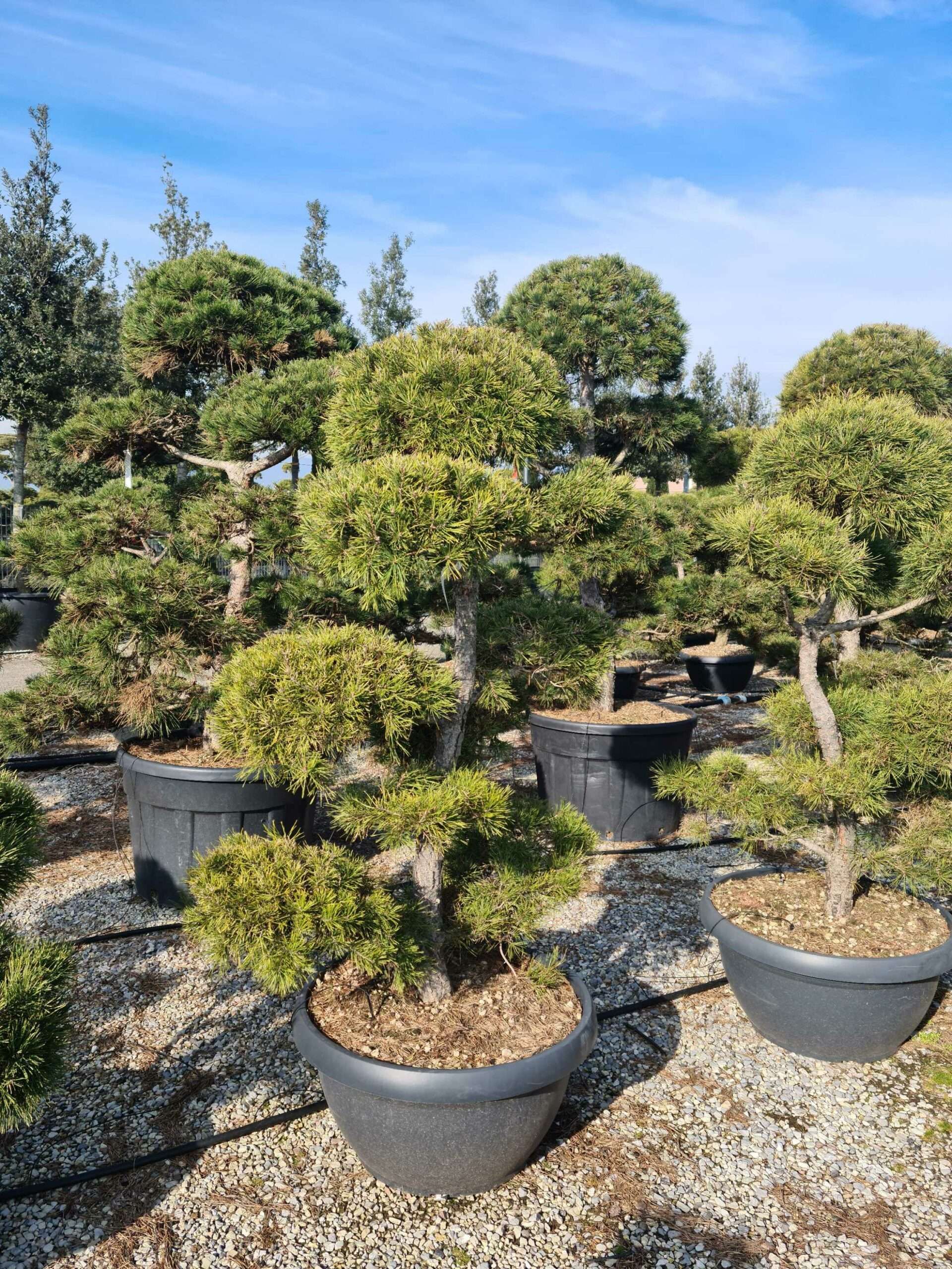 1675073038 scaled 6eabca1f