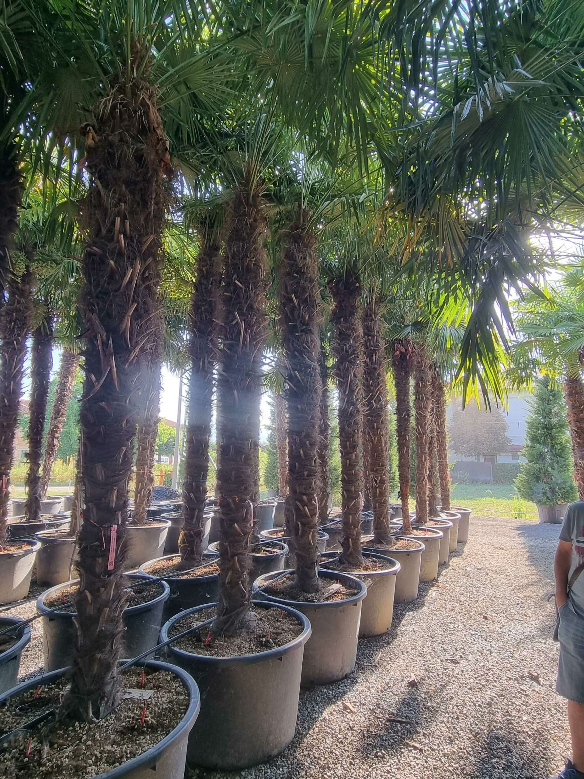 1692687355 scaled 6ec2c7fb