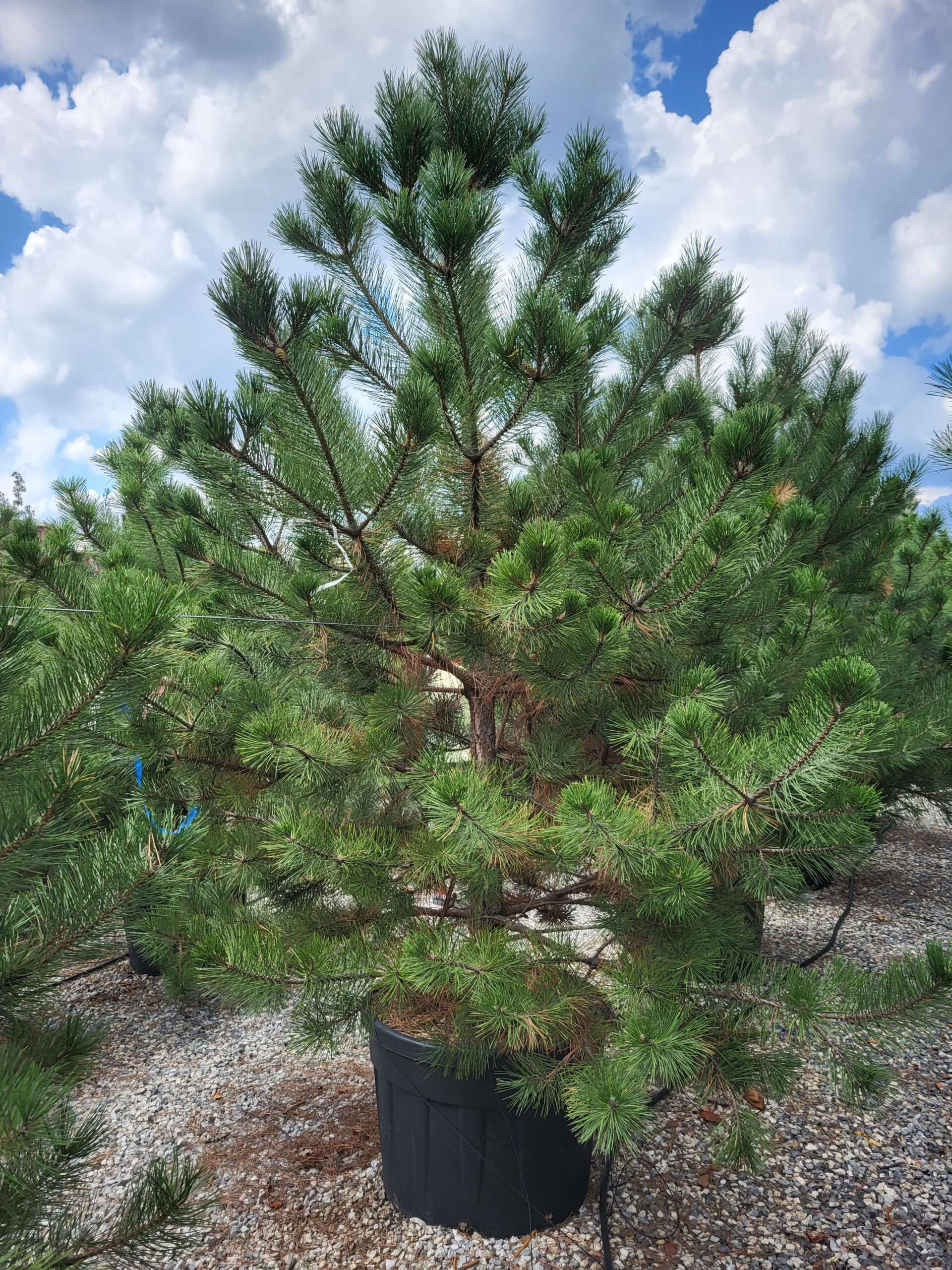 1694788942 scaled 6eb56c4b