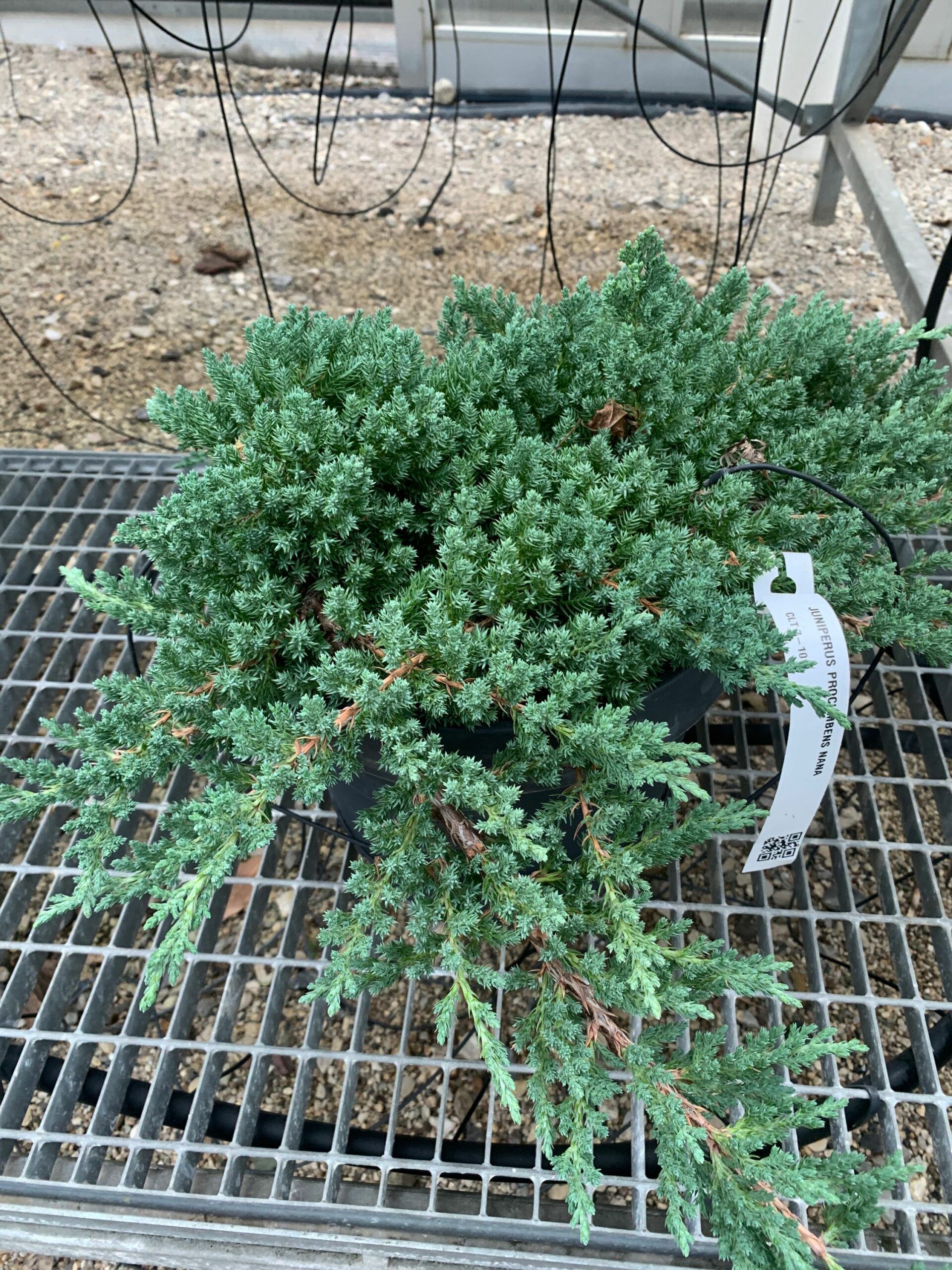 1637829079 scaled 6fdbaf7e