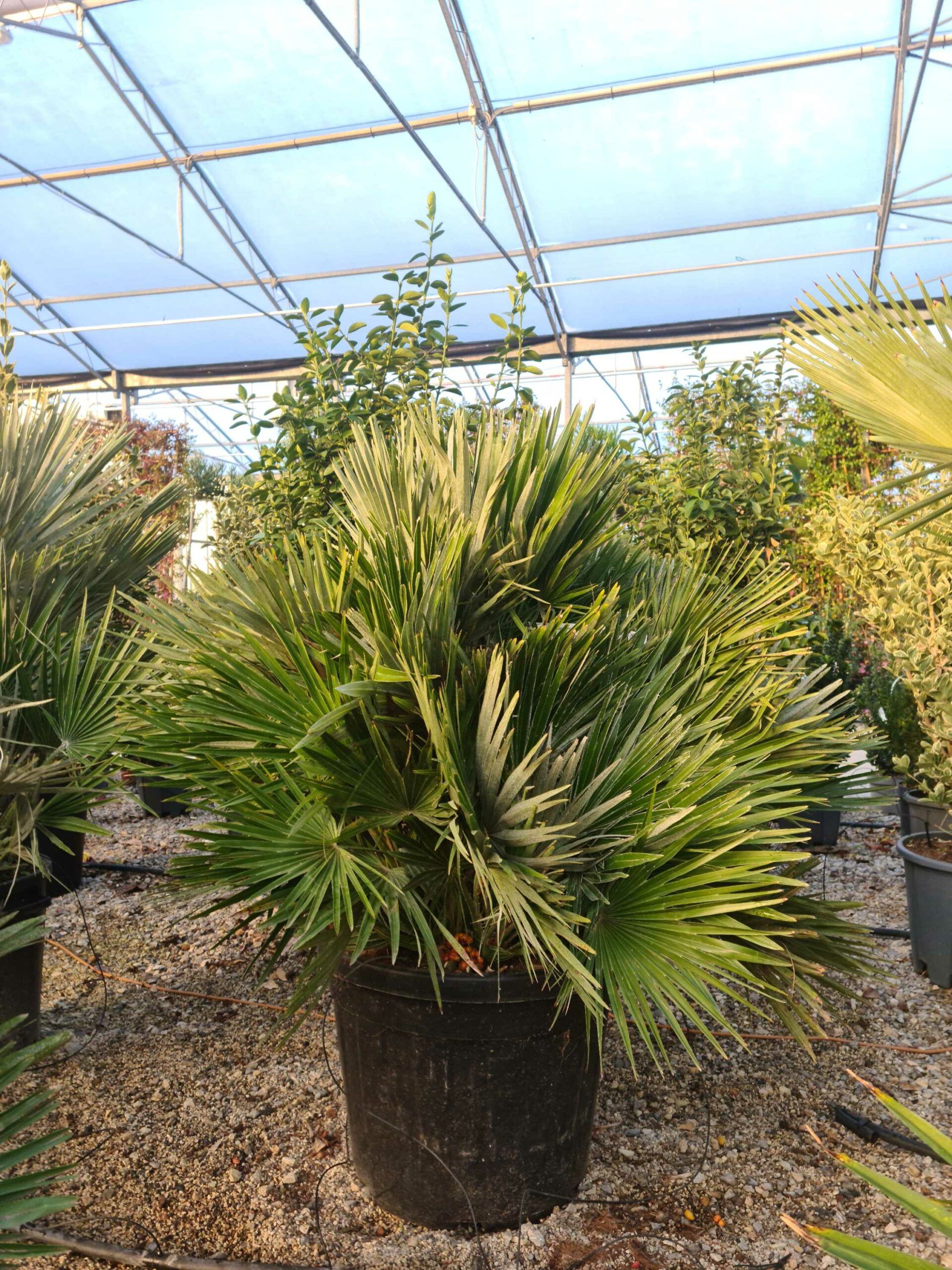 1639468617 scaled 6f688ca5