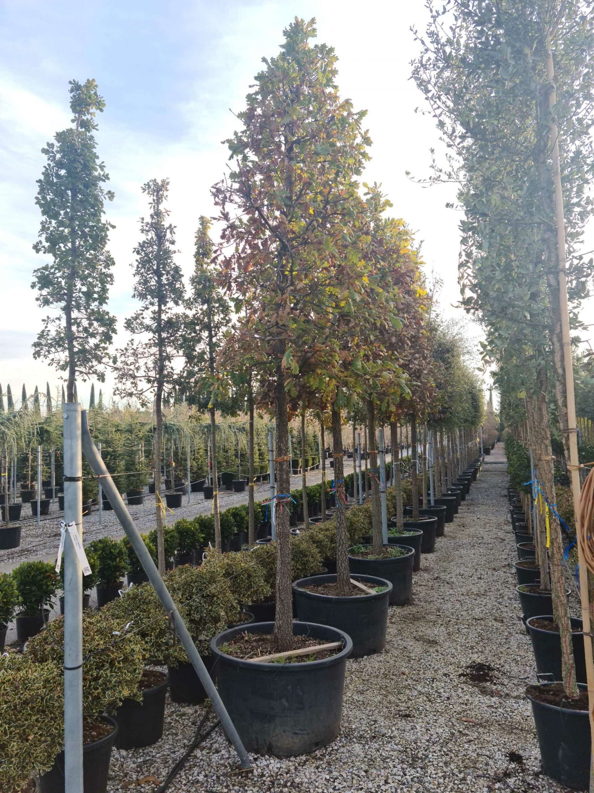 1639491309 scaled 6f1c66b2