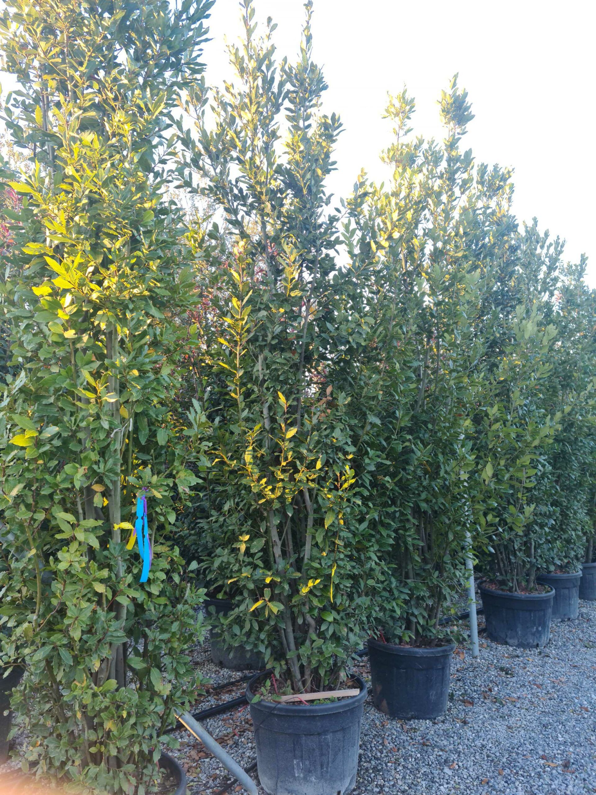 1639666469 scaled 6f855b2d