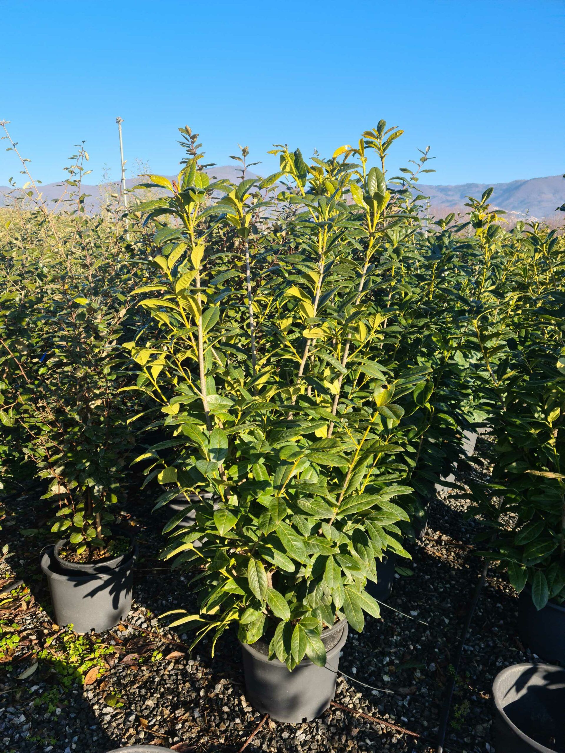 1642840712 scaled 6f8b5802